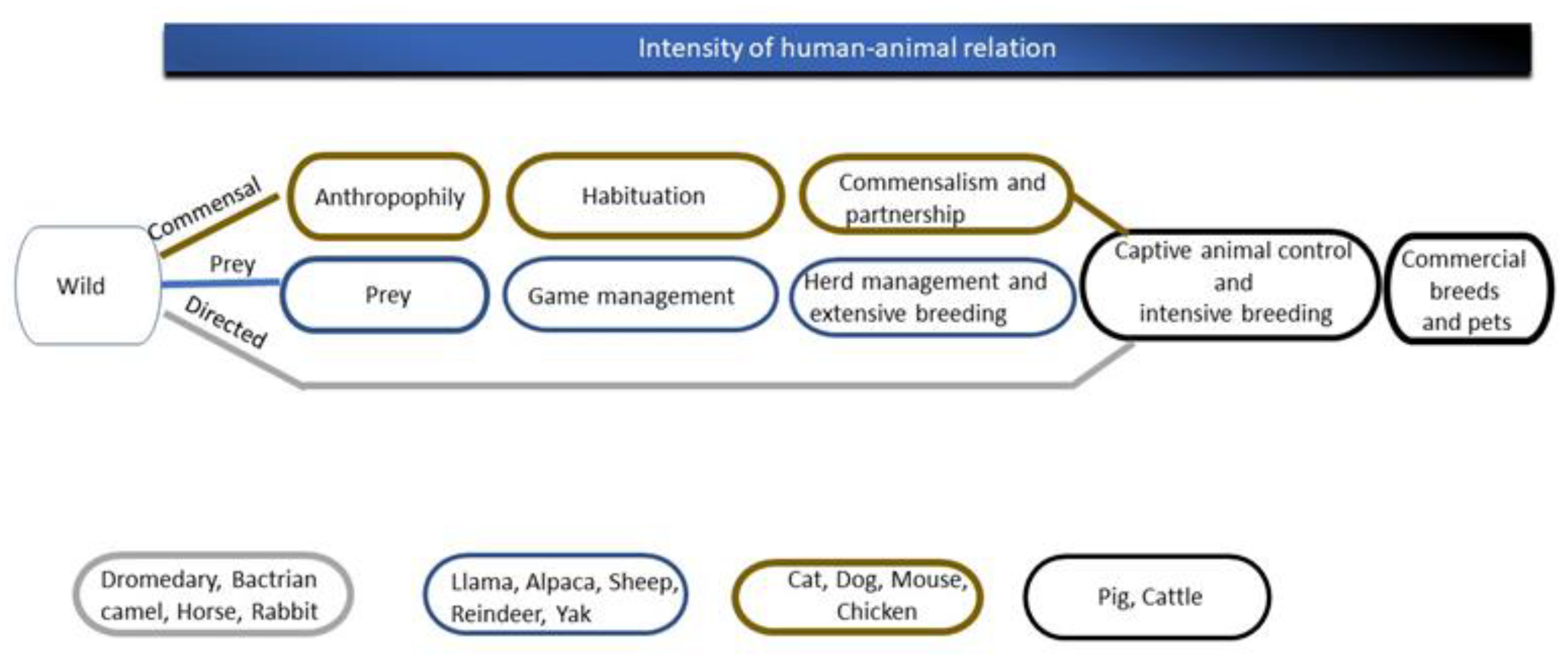 Animals 13 02050 g001