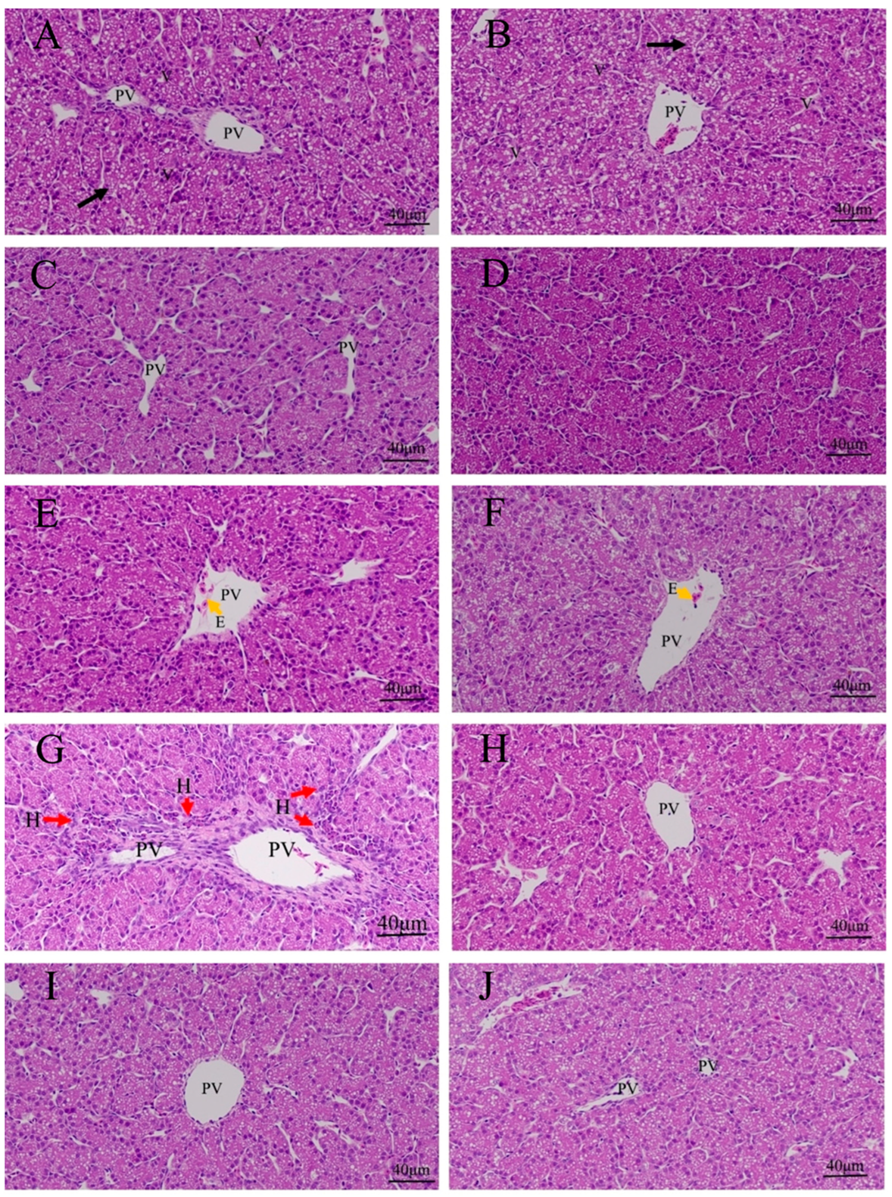 Animals 13 02051 g003