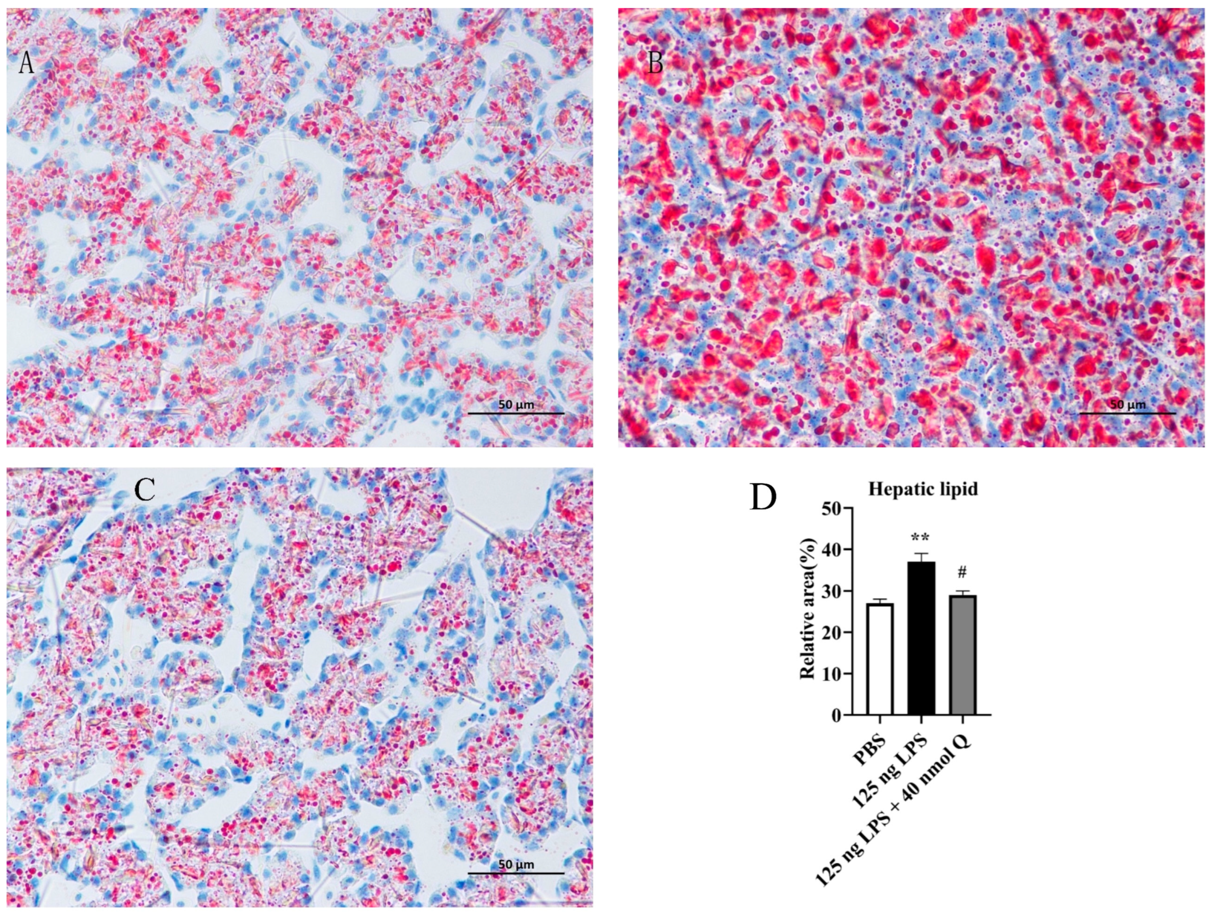 Animals 13 02051 g004