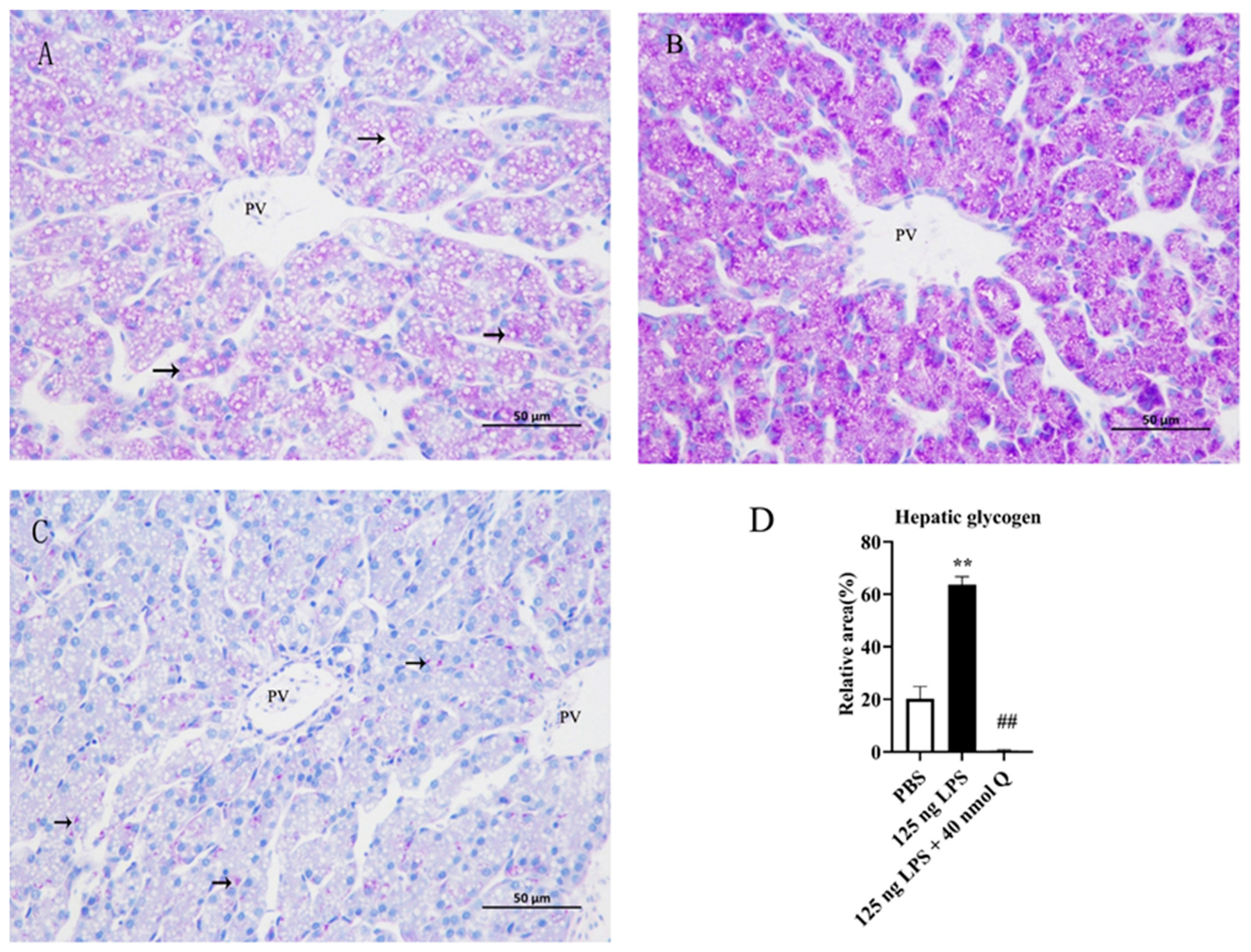 Animals 13 02051 g005