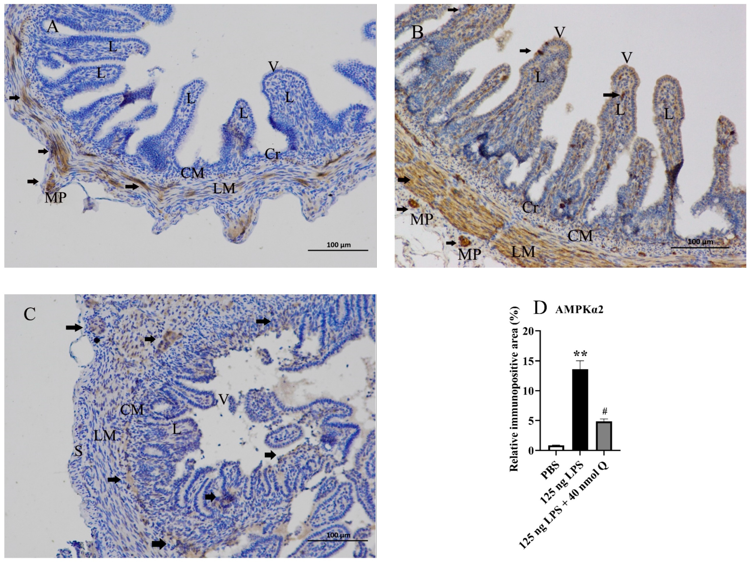 Animals 13 02051 g007