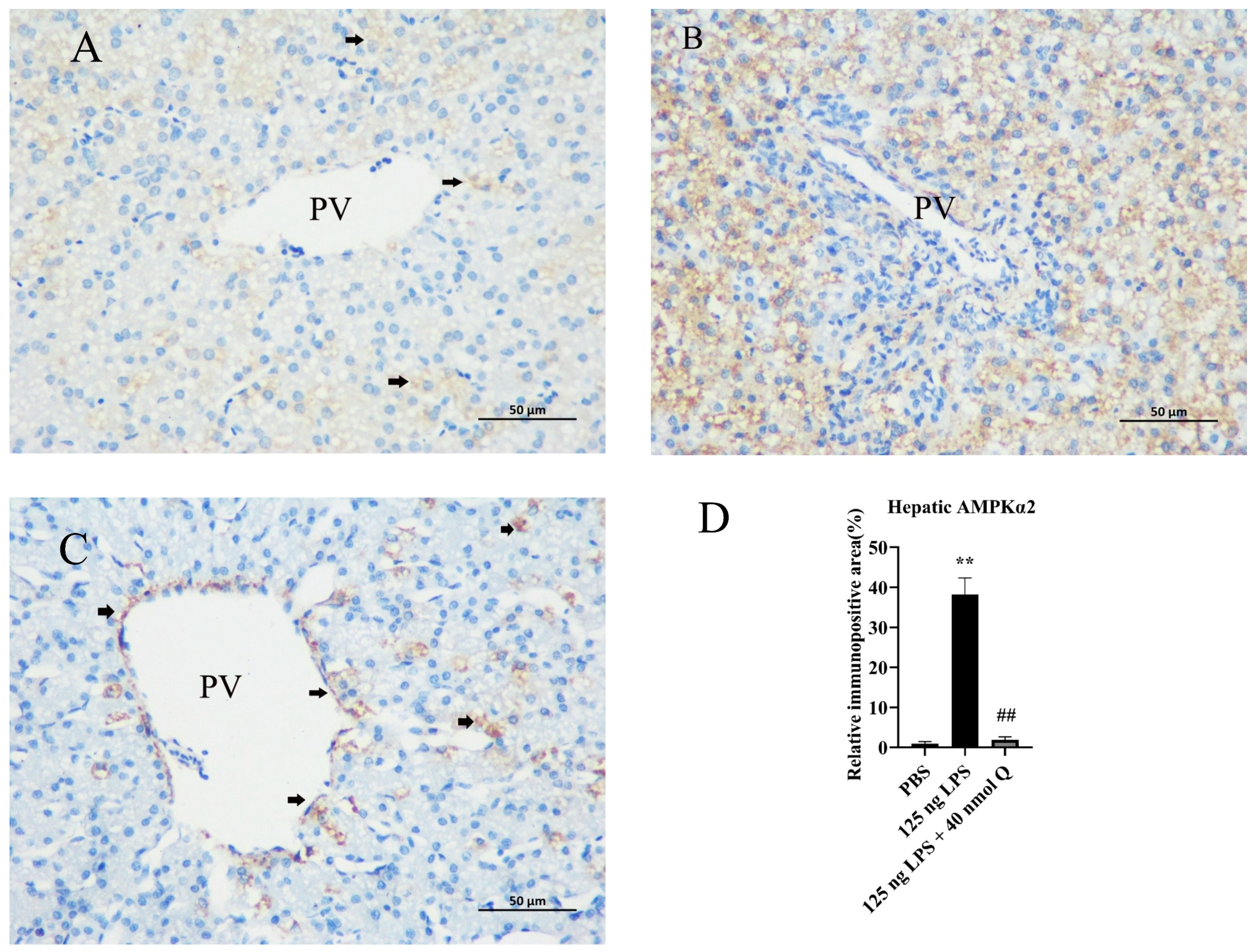 Animals 13 02051 g010