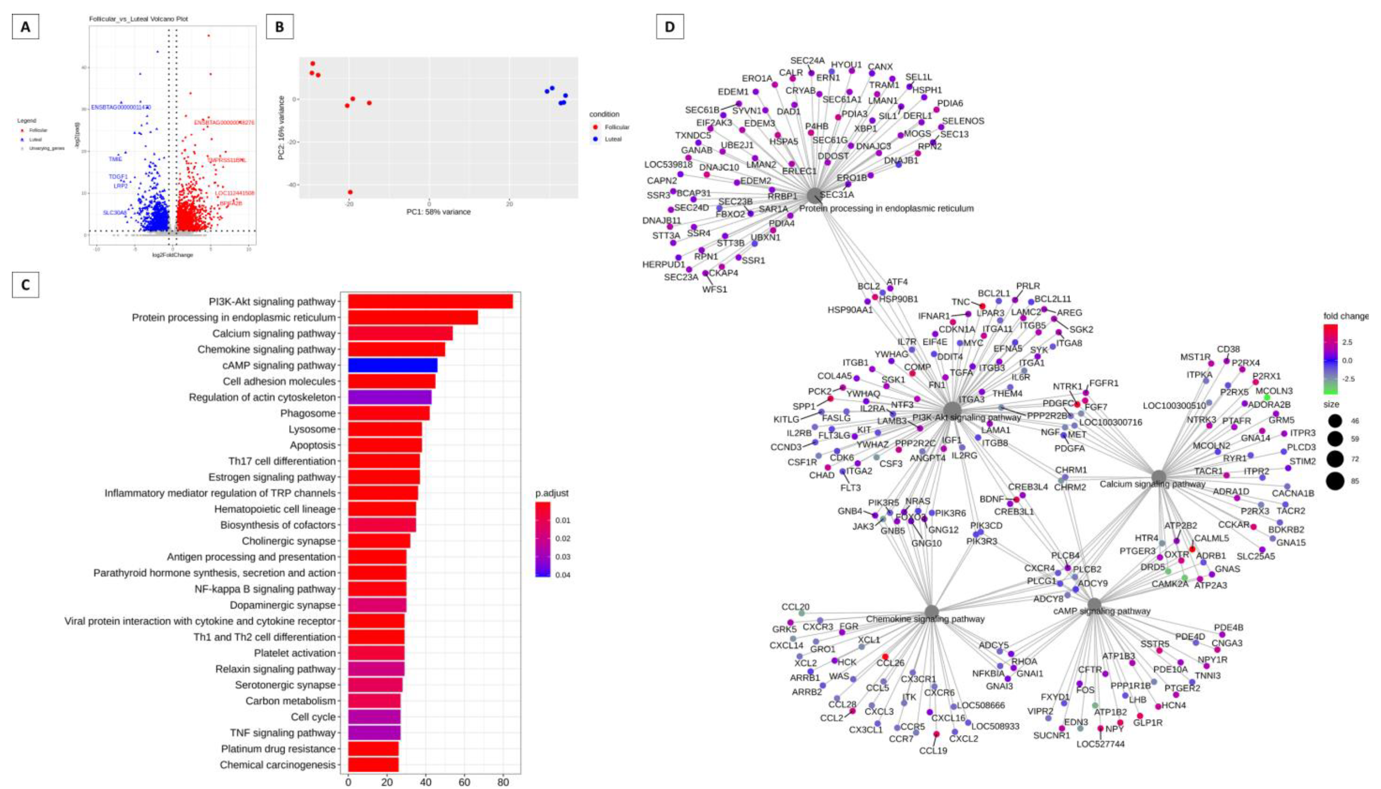 Animals 13 02052 g001