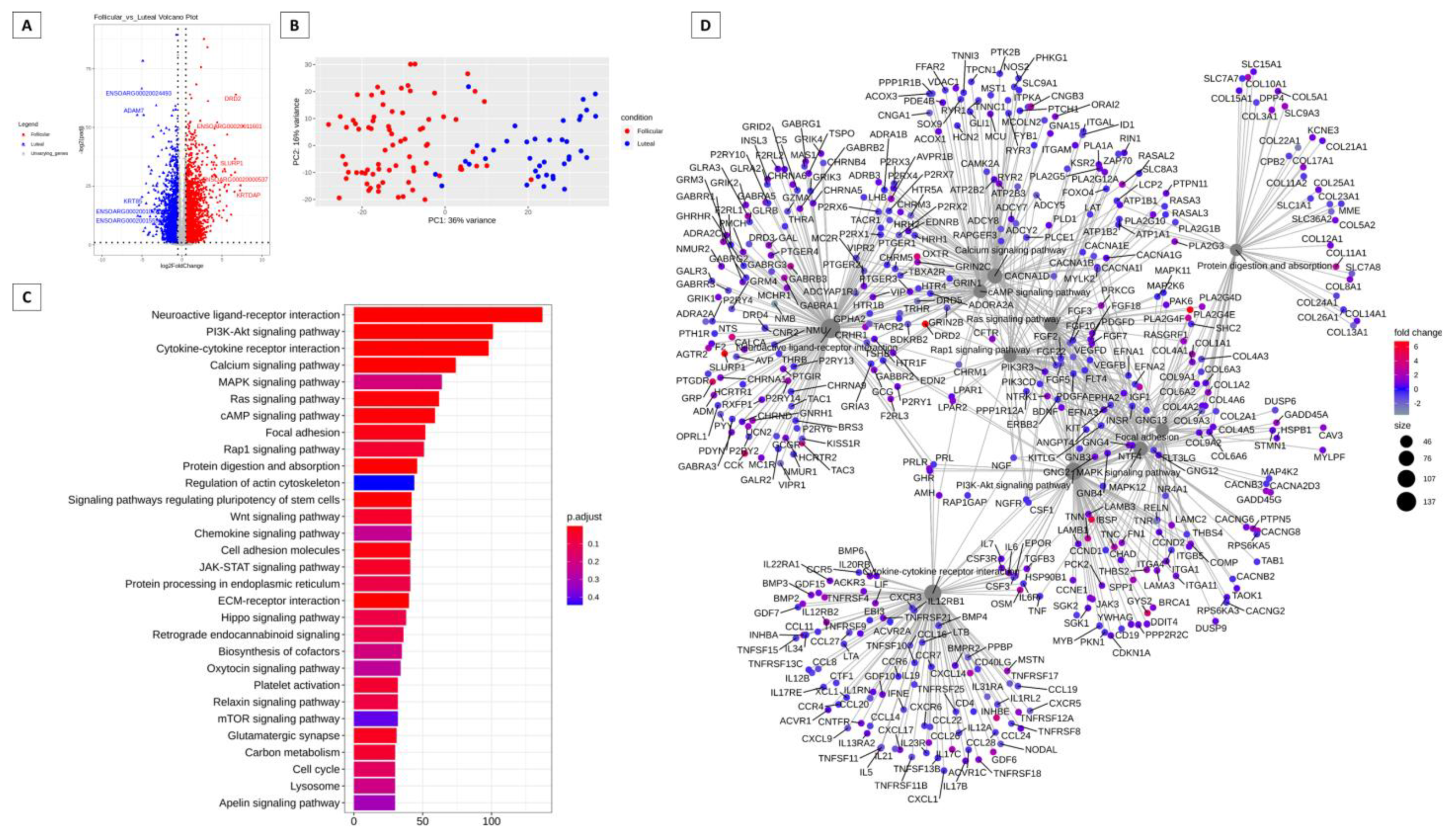 Animals 13 02052 g002