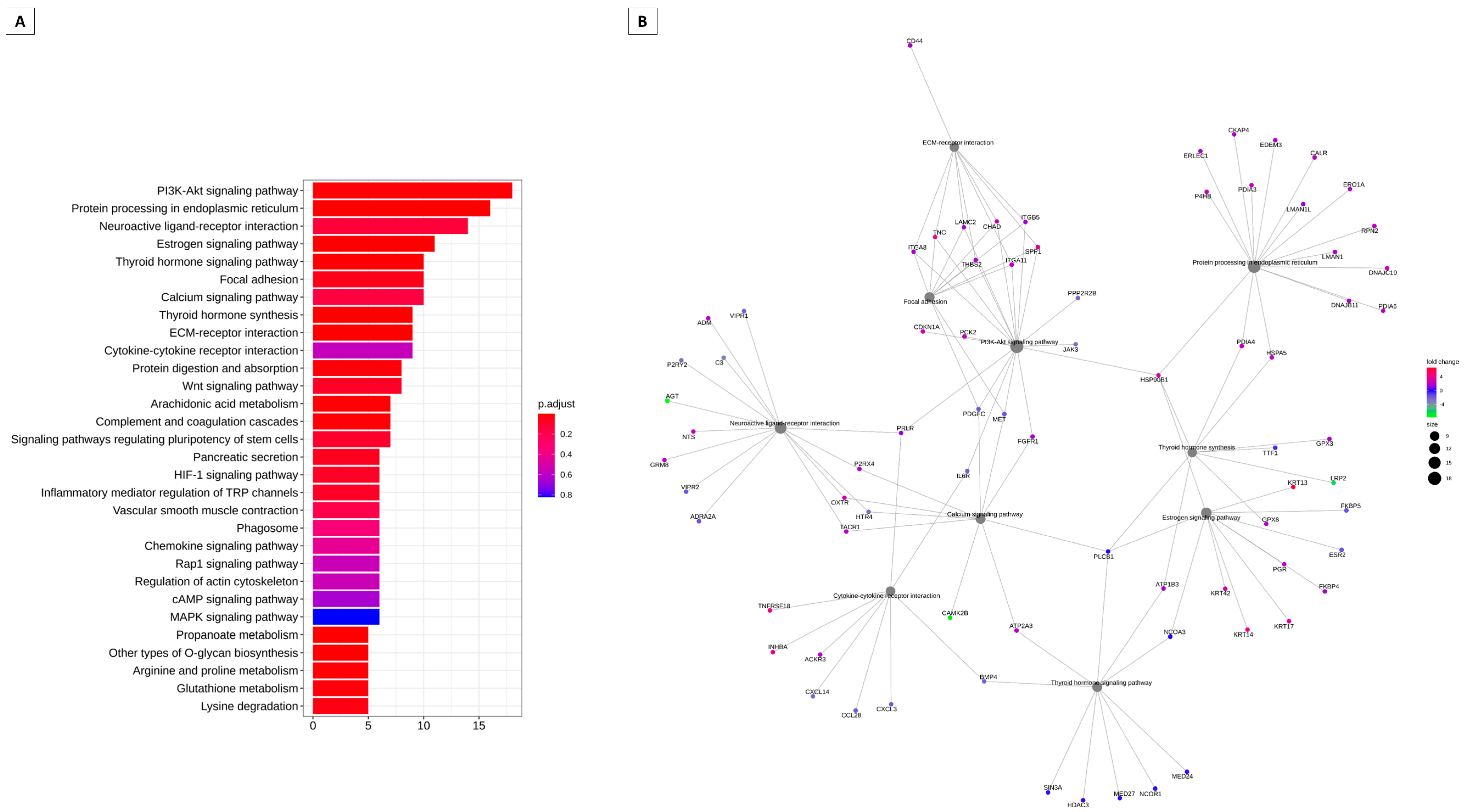 Animals 13 02052 g003