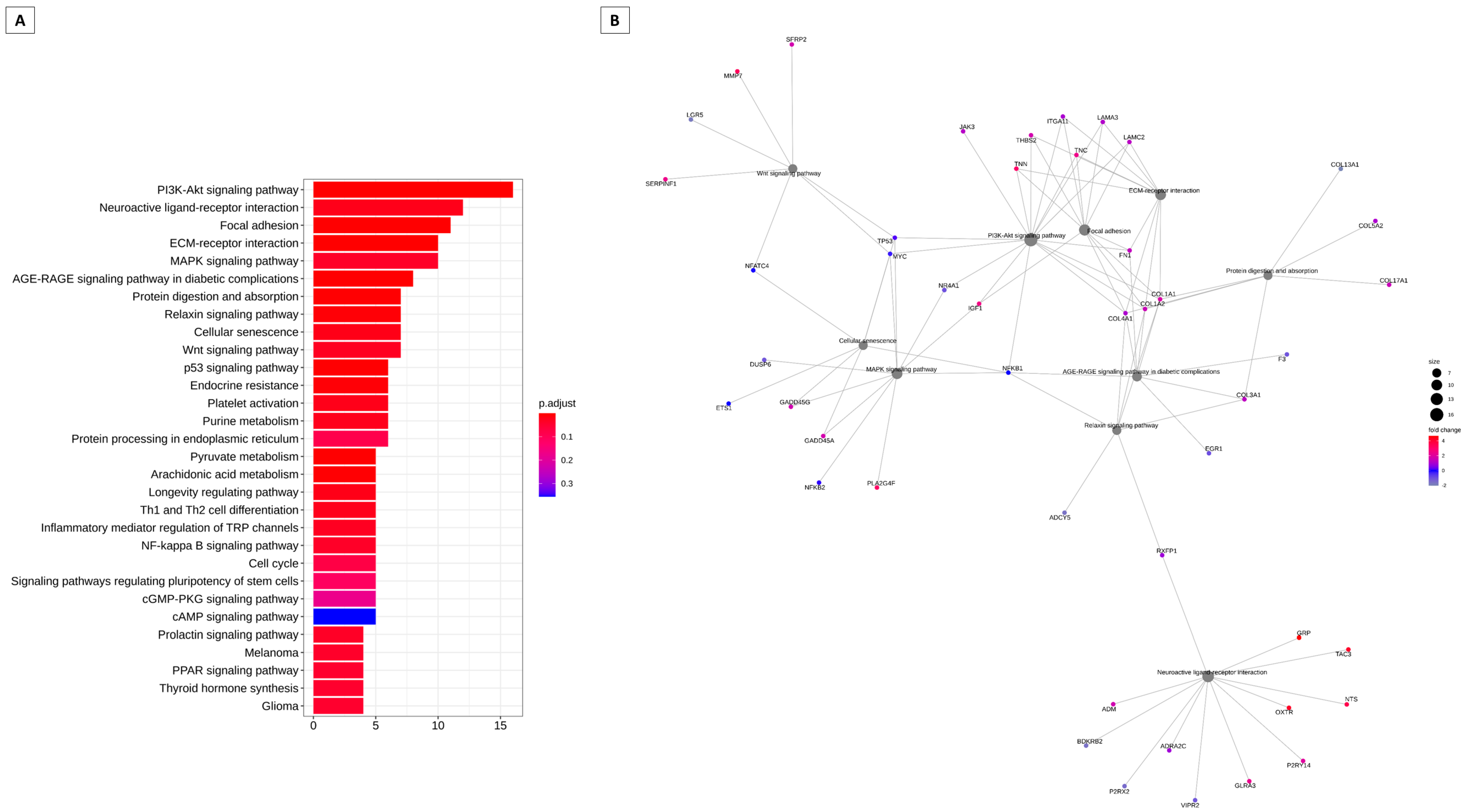 Animals 13 02052 g004