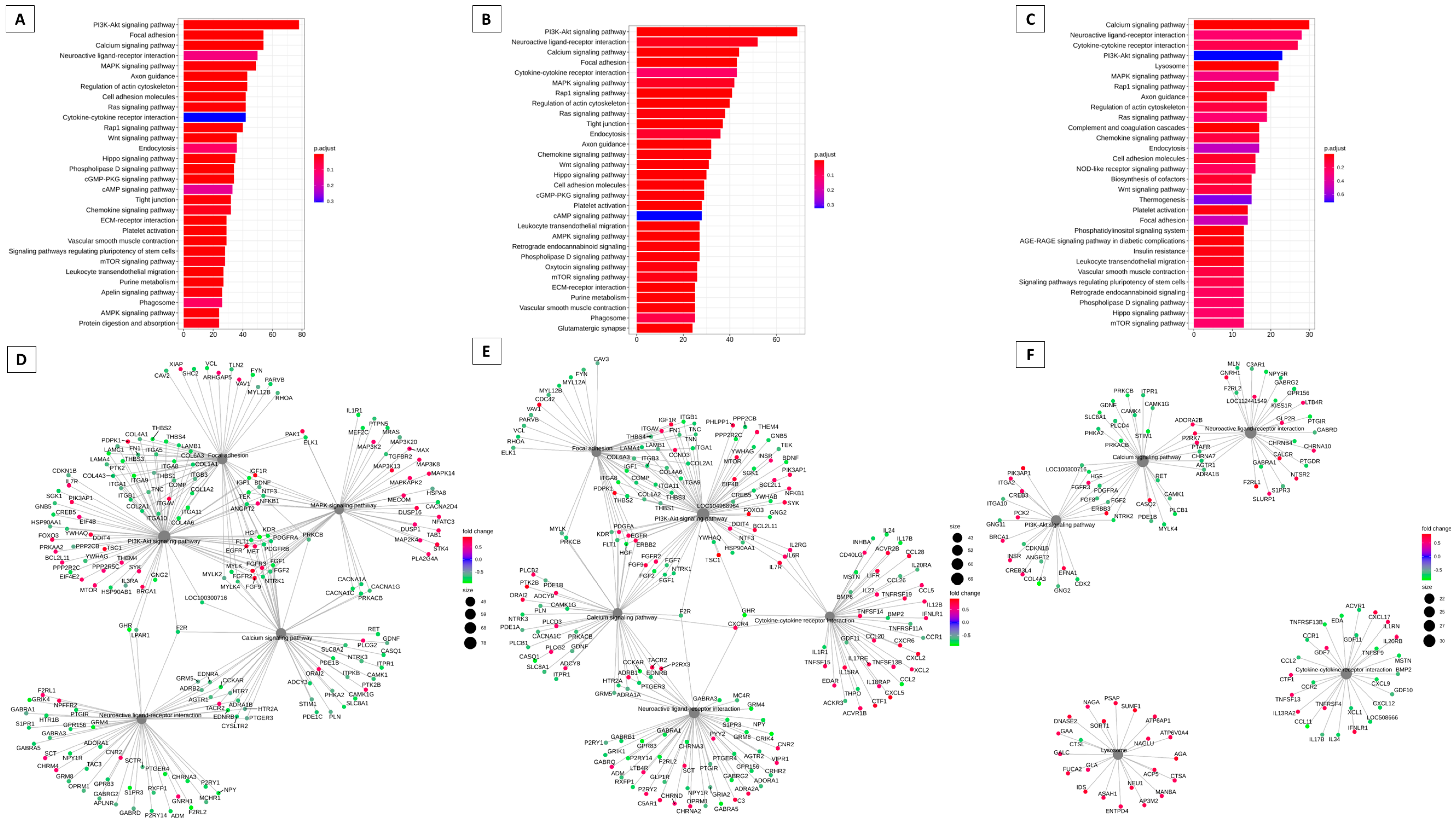 Animals 13 02052 g005