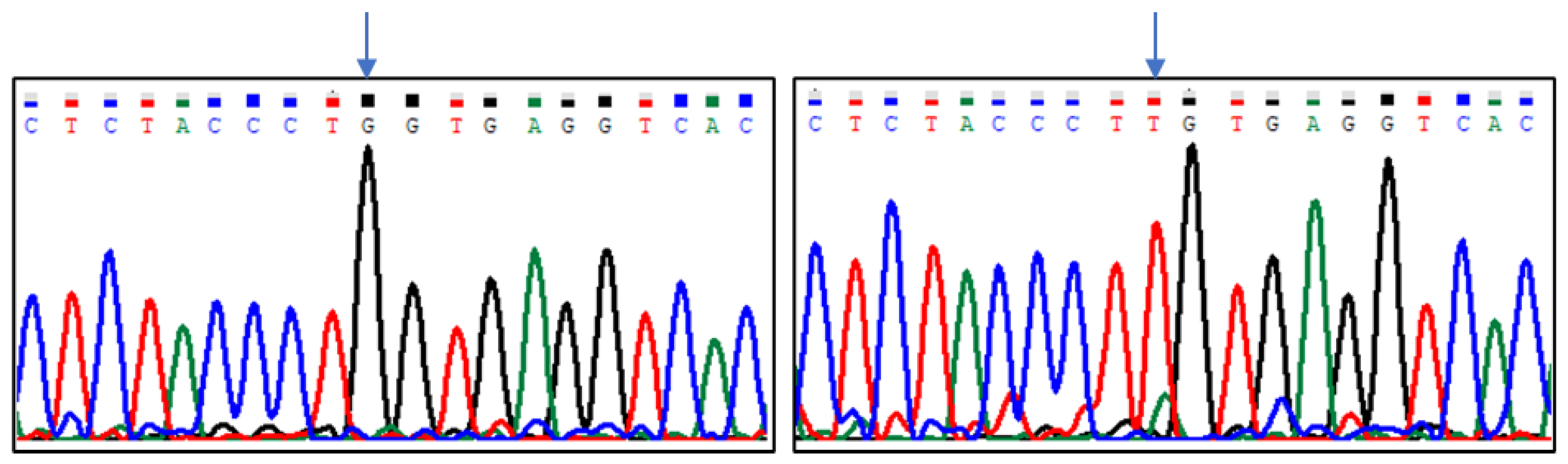 Animals 13 02070 g001