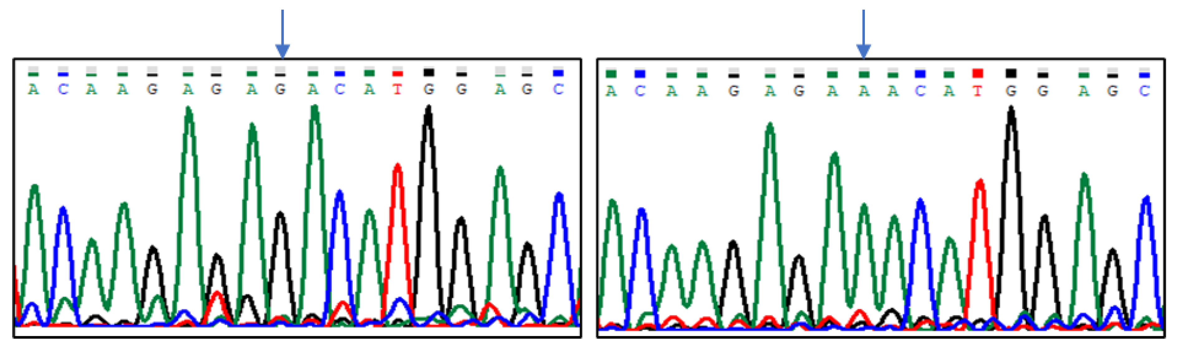 Animals 13 02070 g002