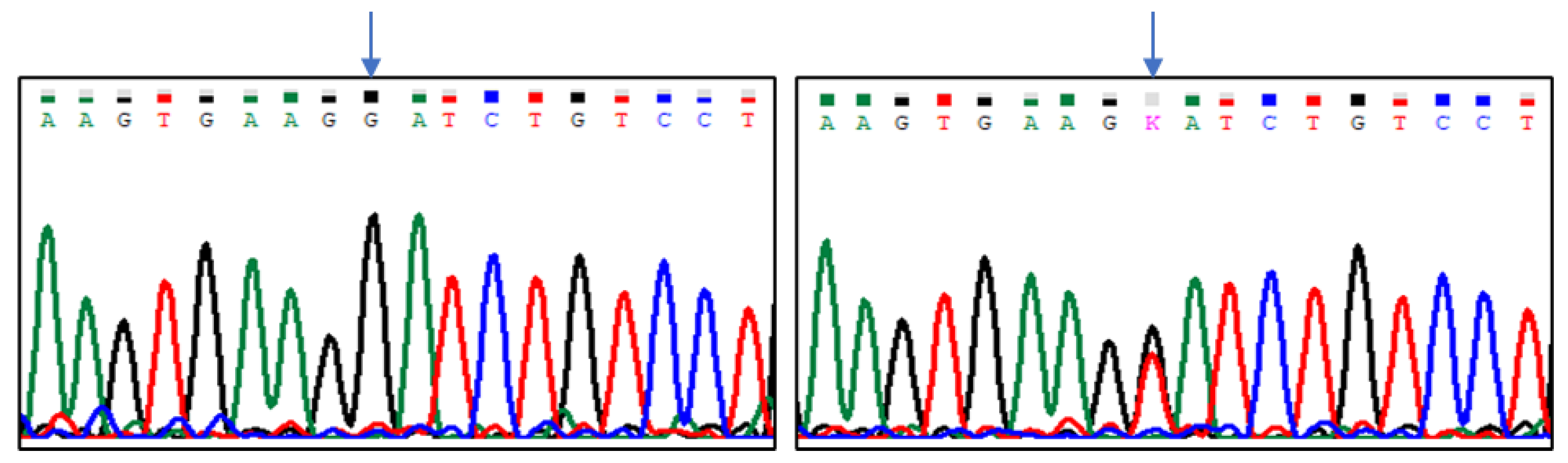 Animals 13 02070 g004