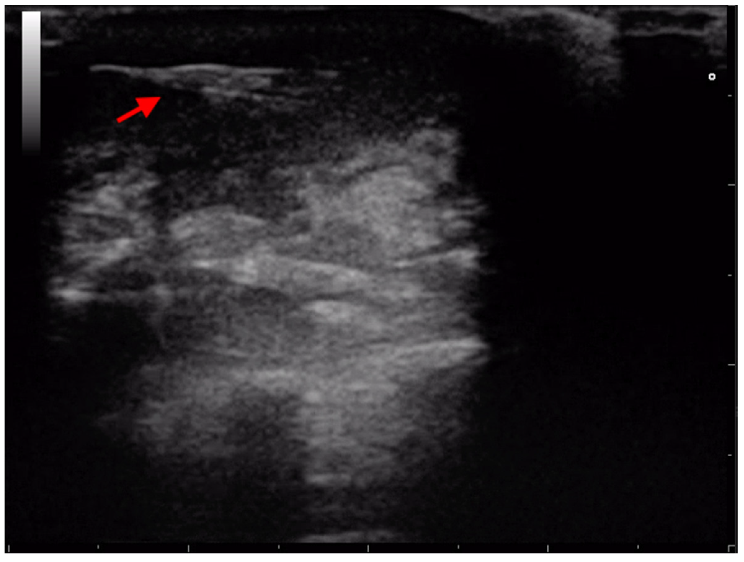 Animals 13 02071 g006