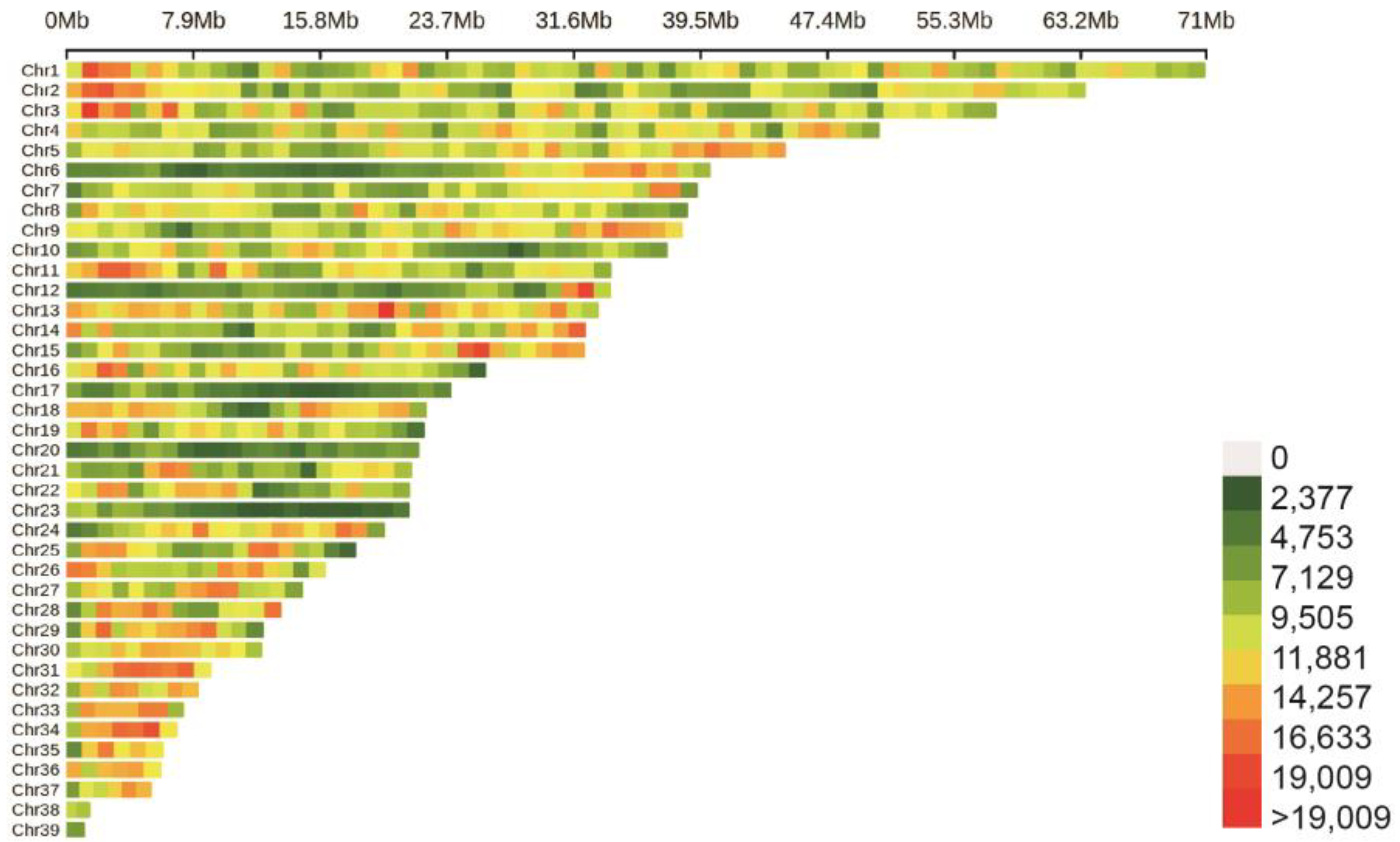 Animals 13 02089 g001