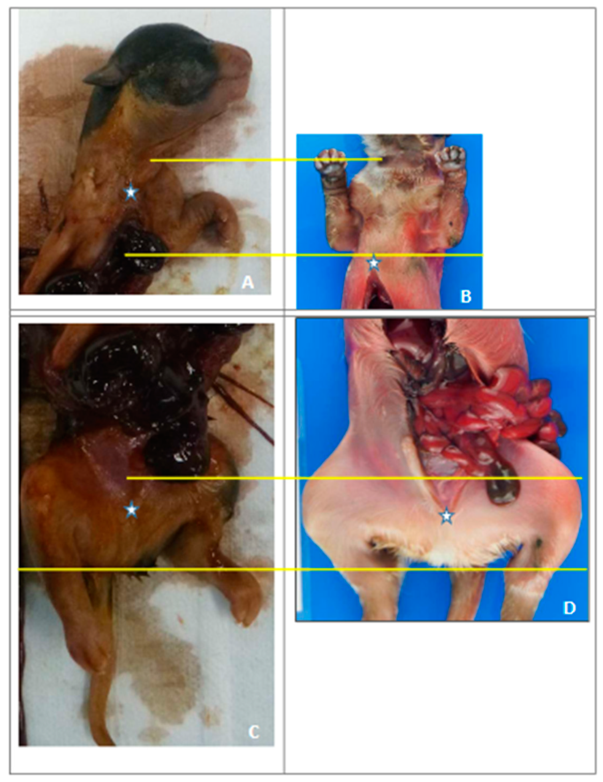 Animals 13 02091 g002 Animals 13 02091 g002