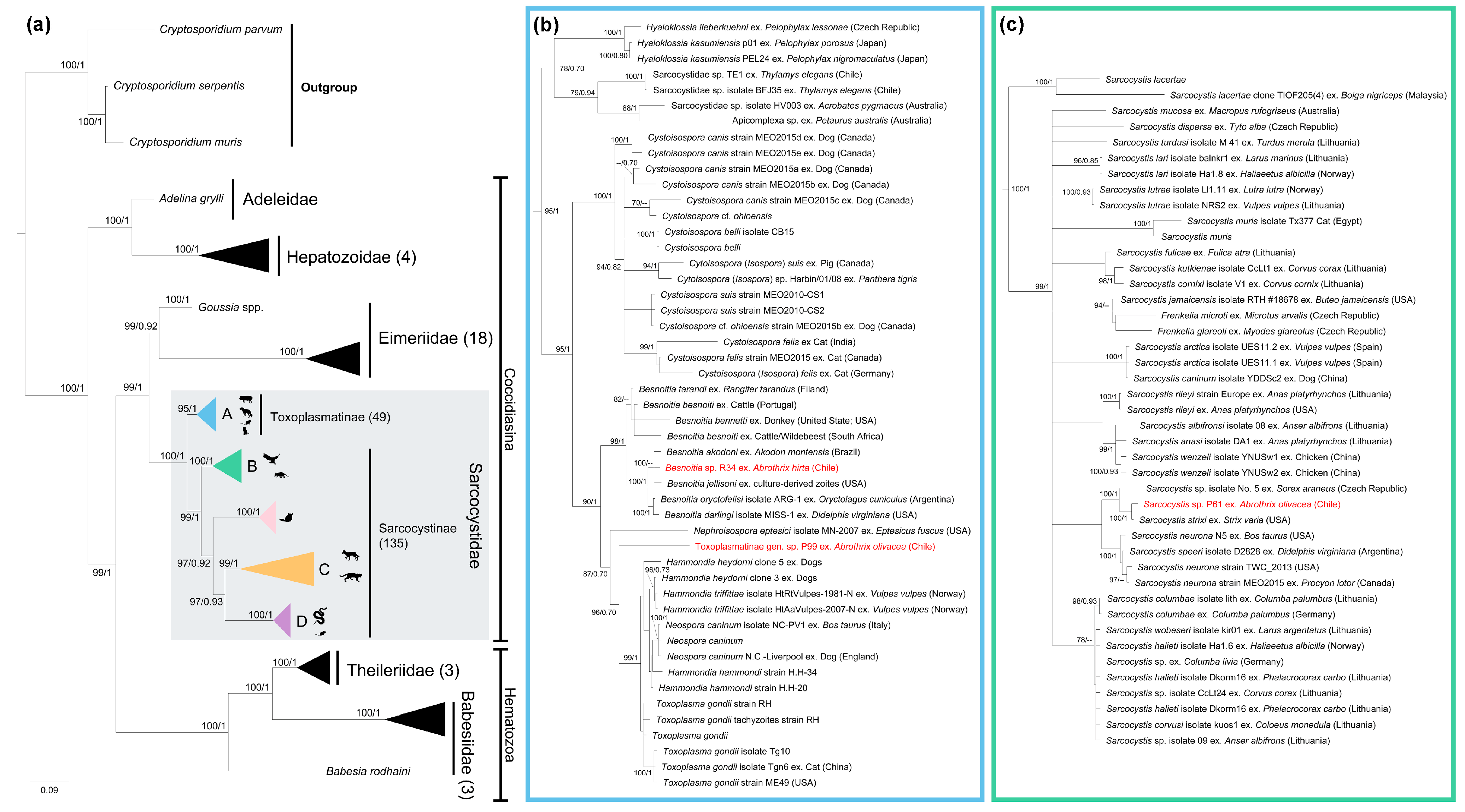 Animals 13 02100 g002