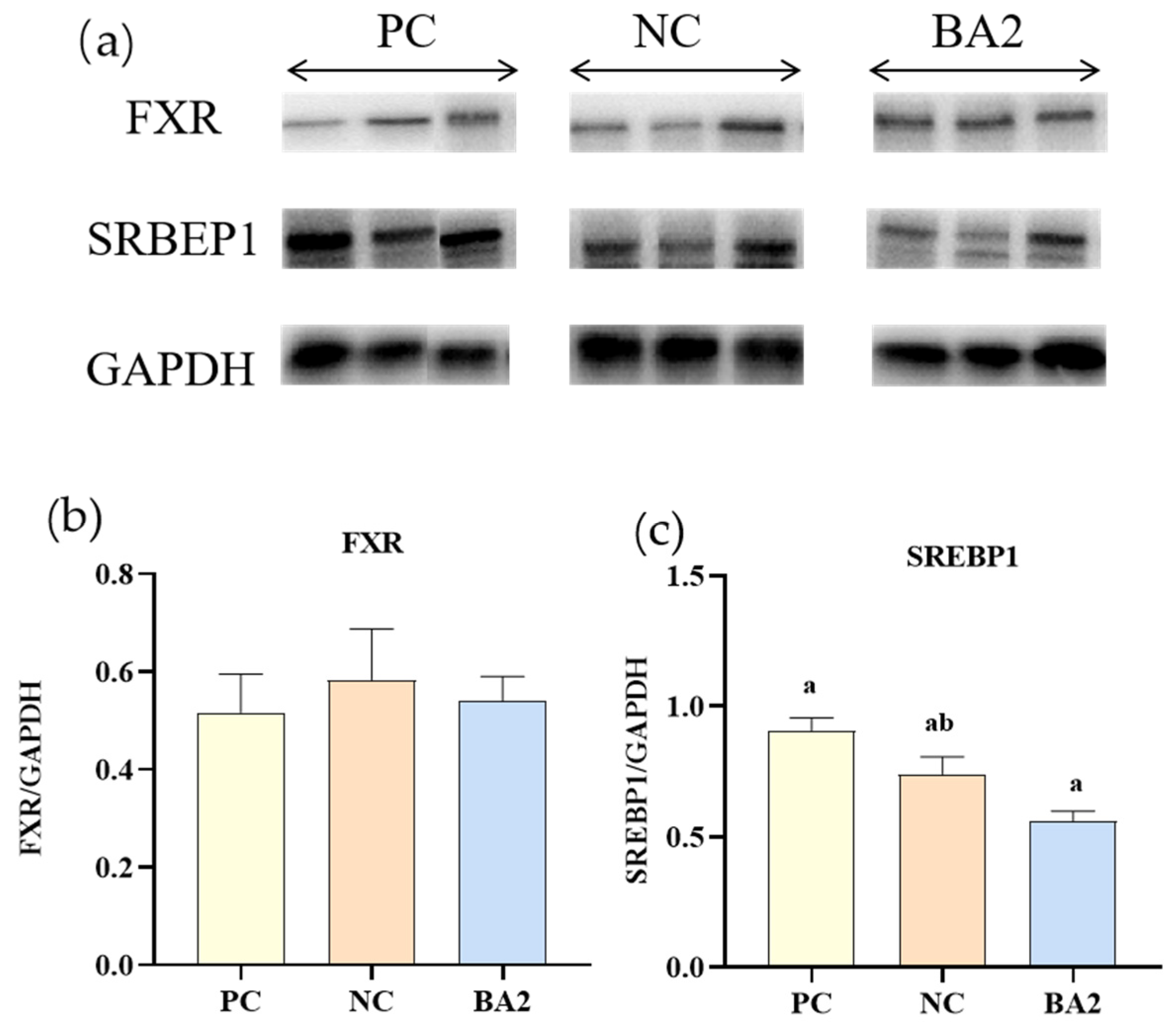 Animals 13 02109 g004