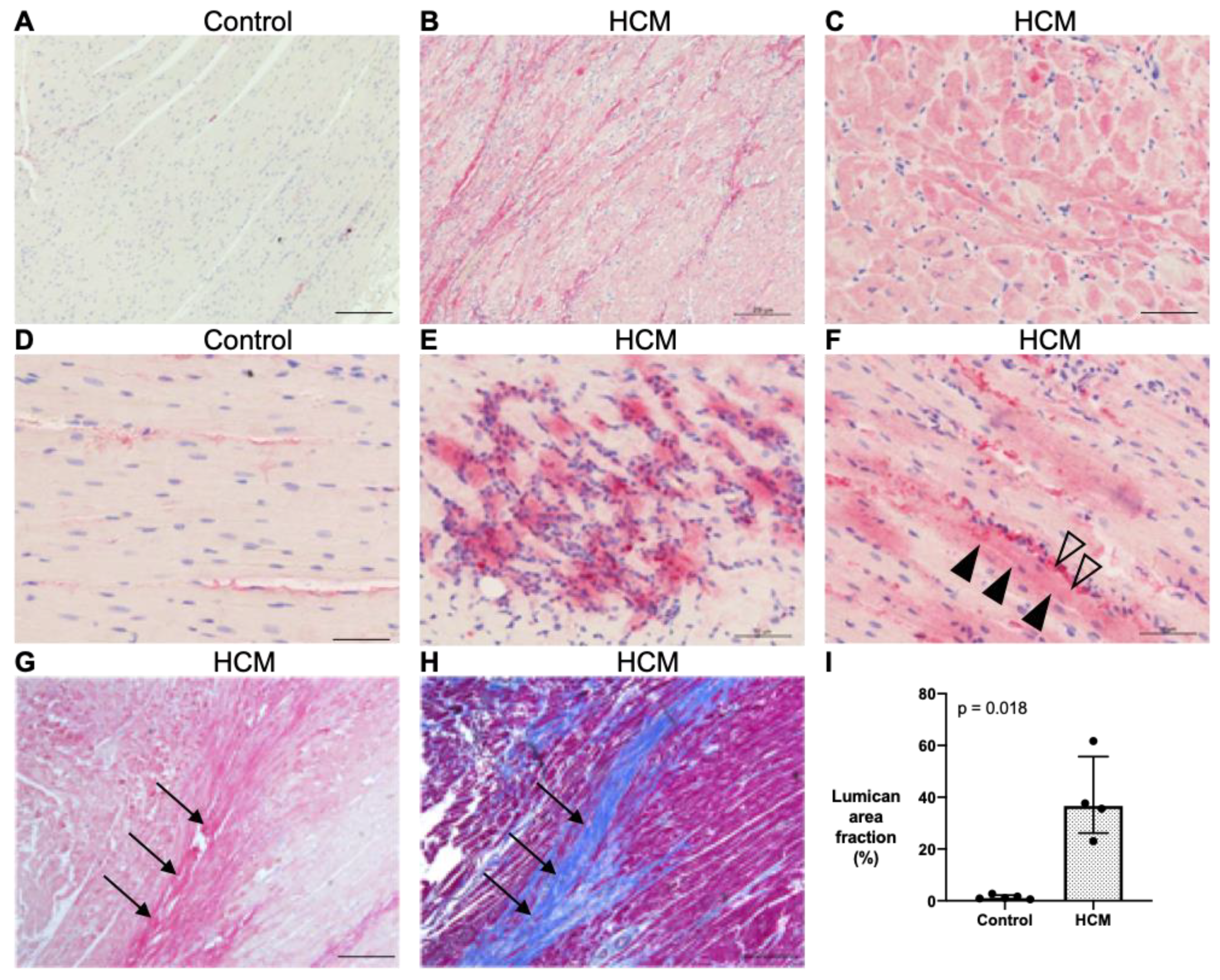 Animals 13 02112 g004