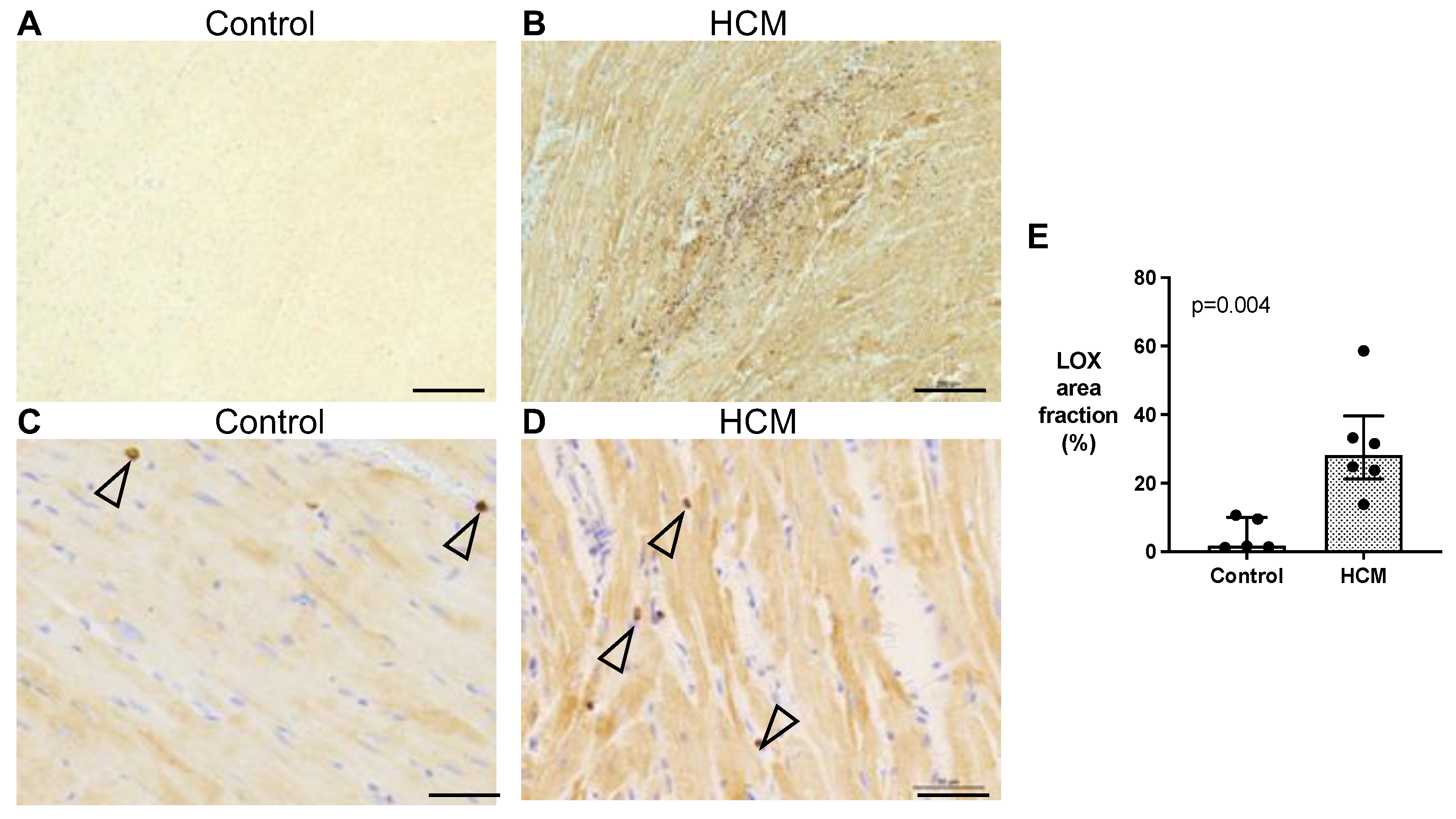 Animals 13 02112 g005