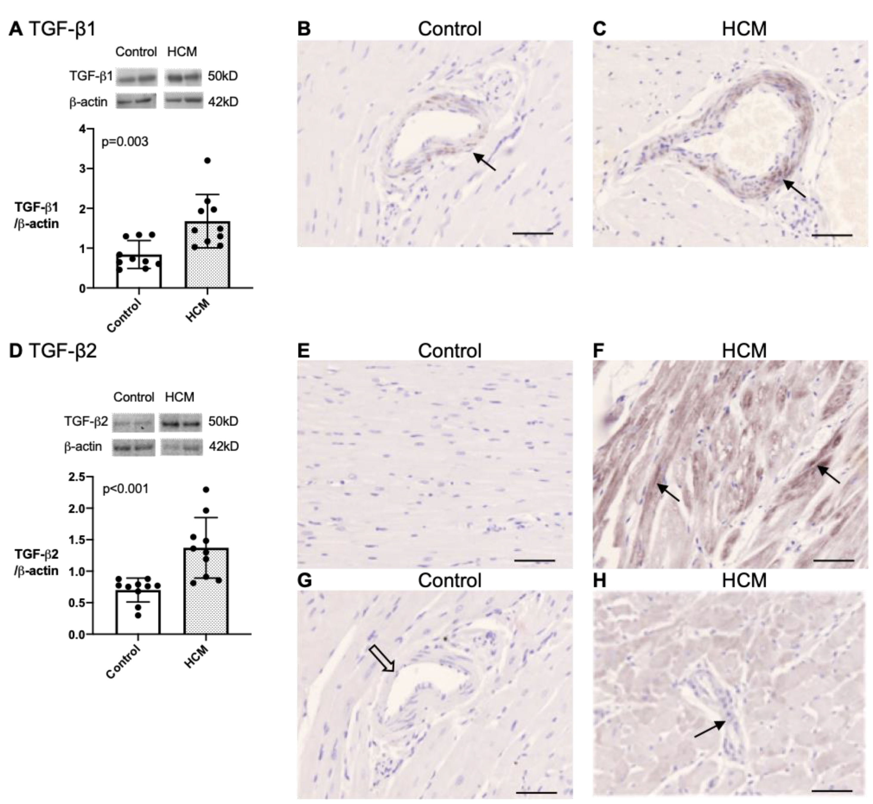 Animals 13 02112 g006