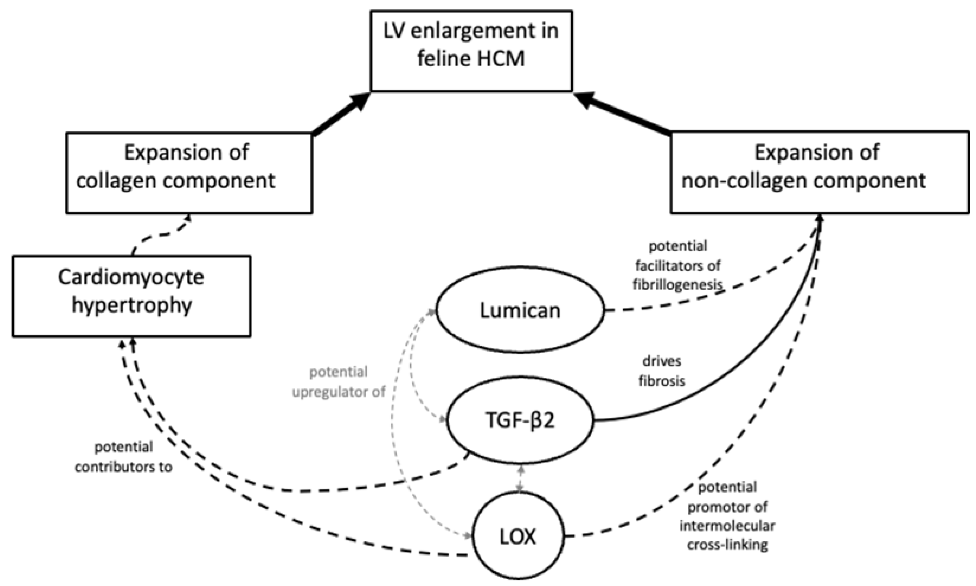 Animals 13 02112 g009