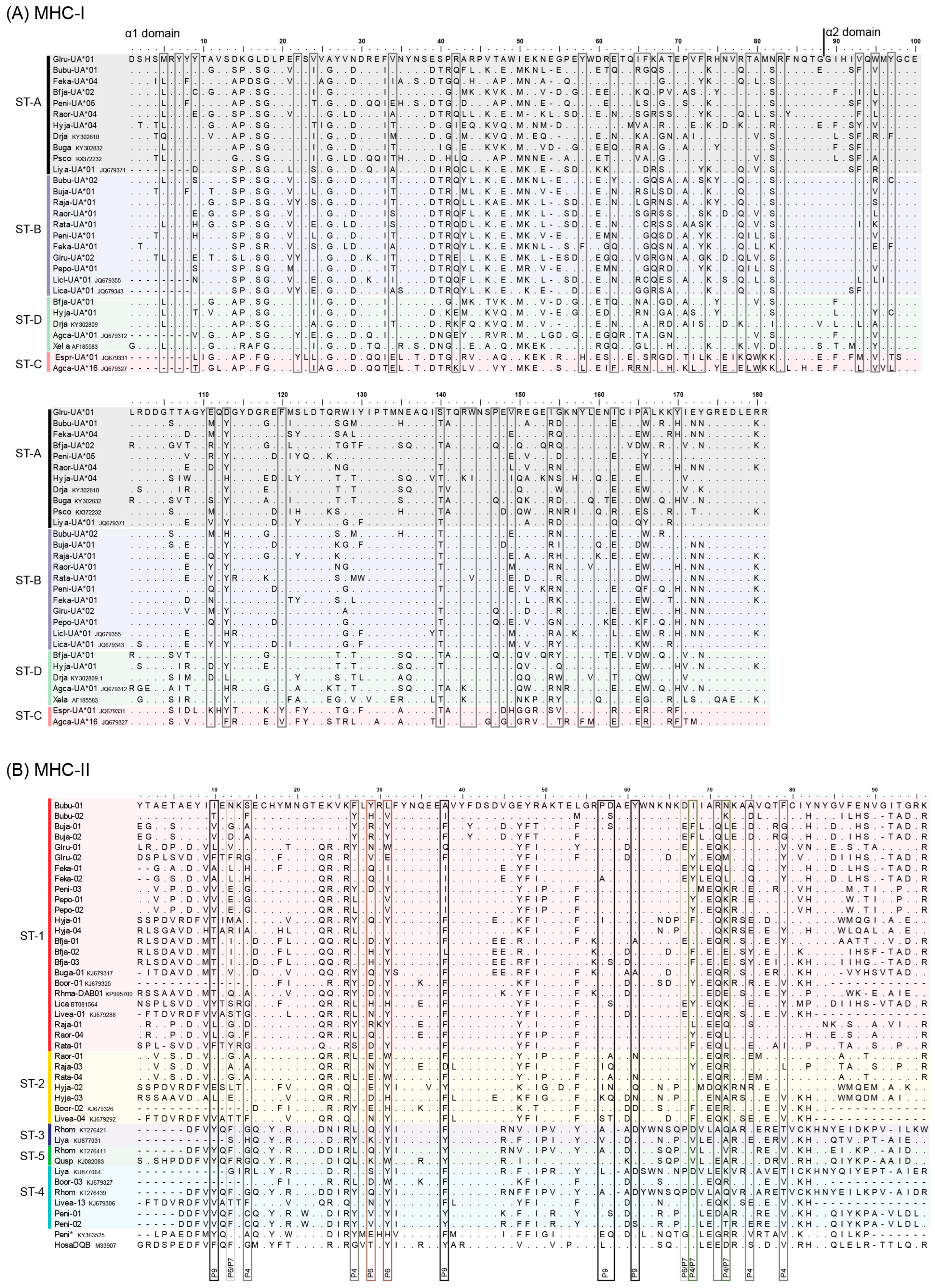 Animals 13 02121 g001