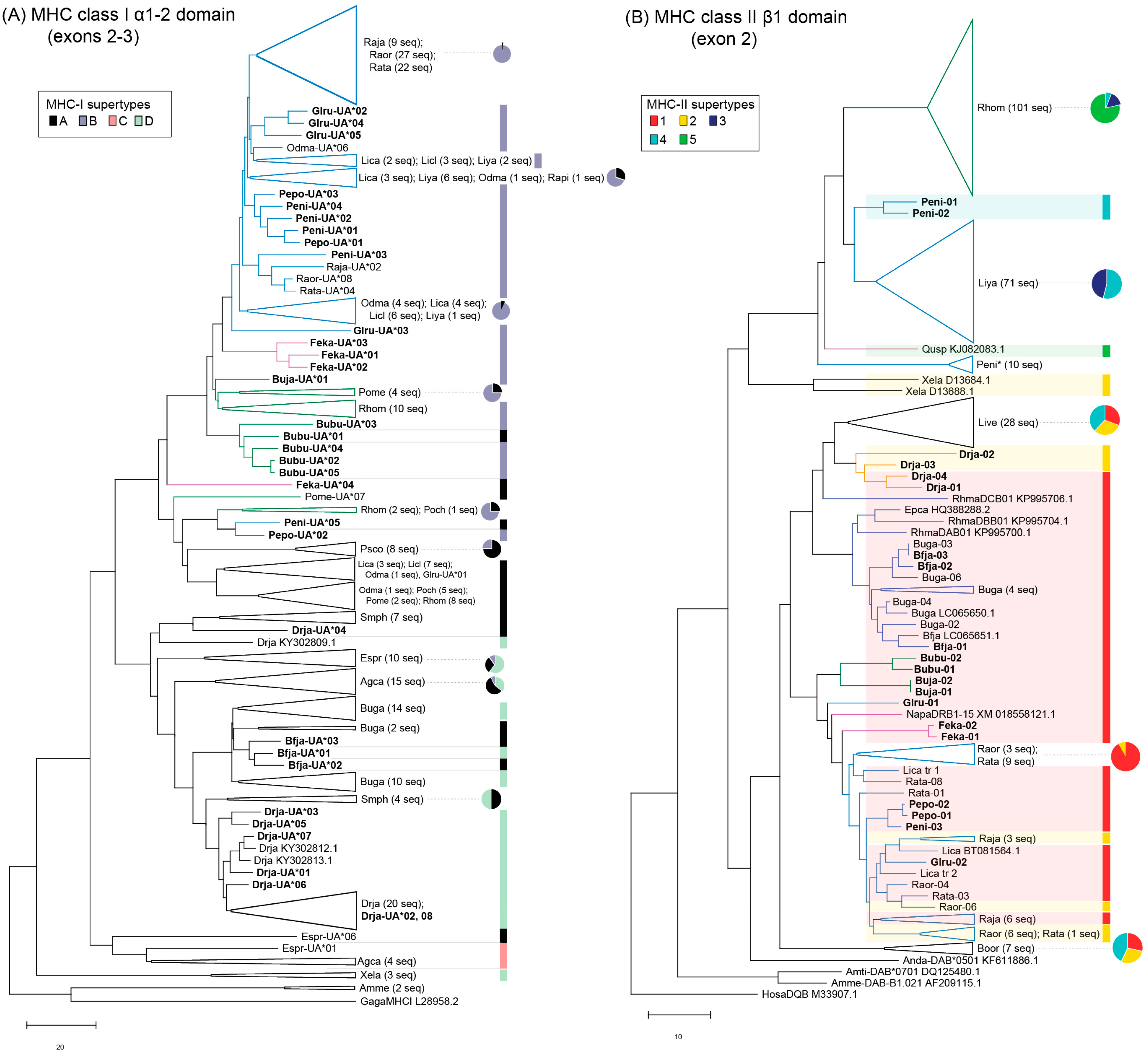 Animals 13 02121 g002