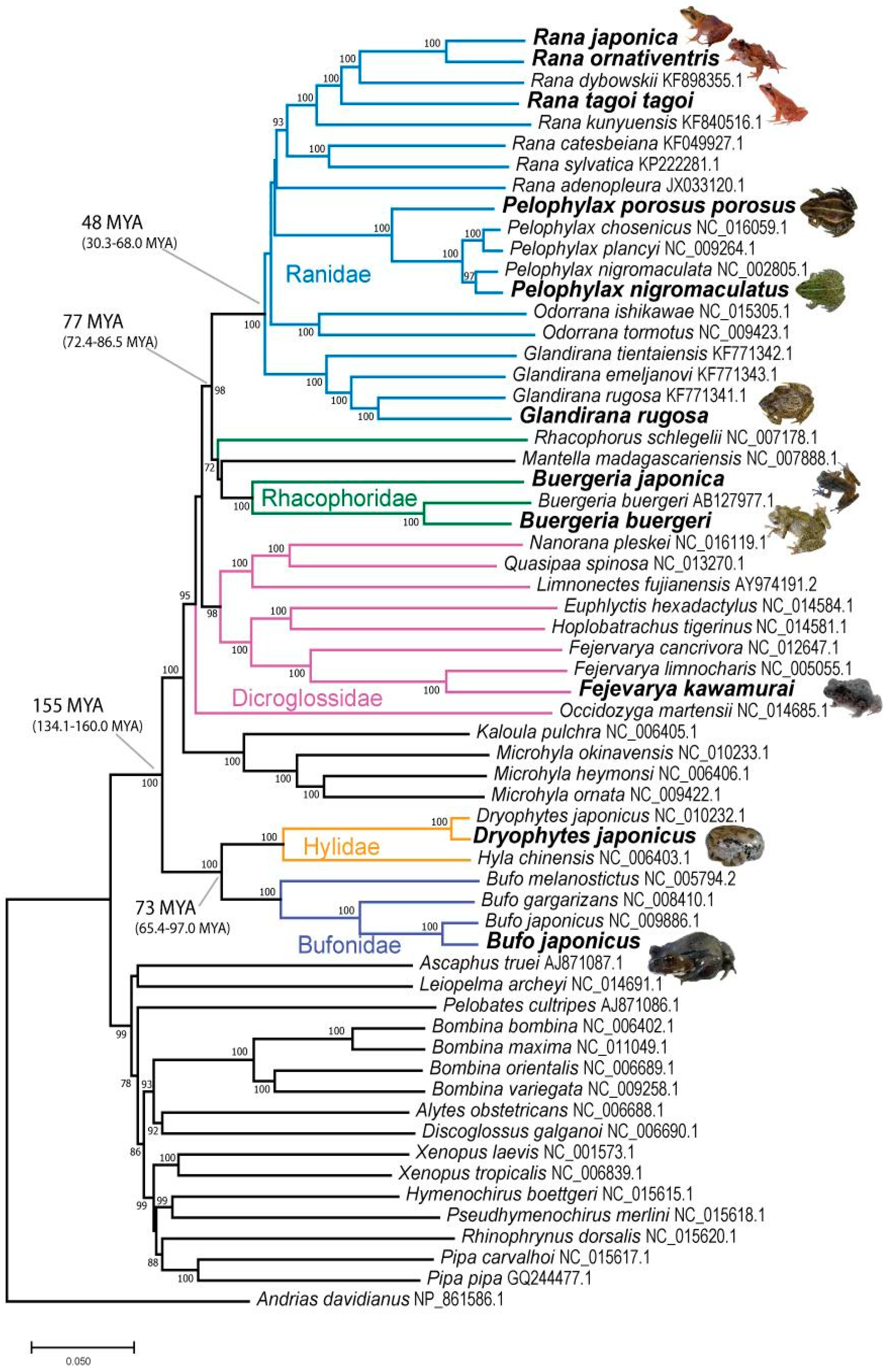 Animals 13 02121 g003