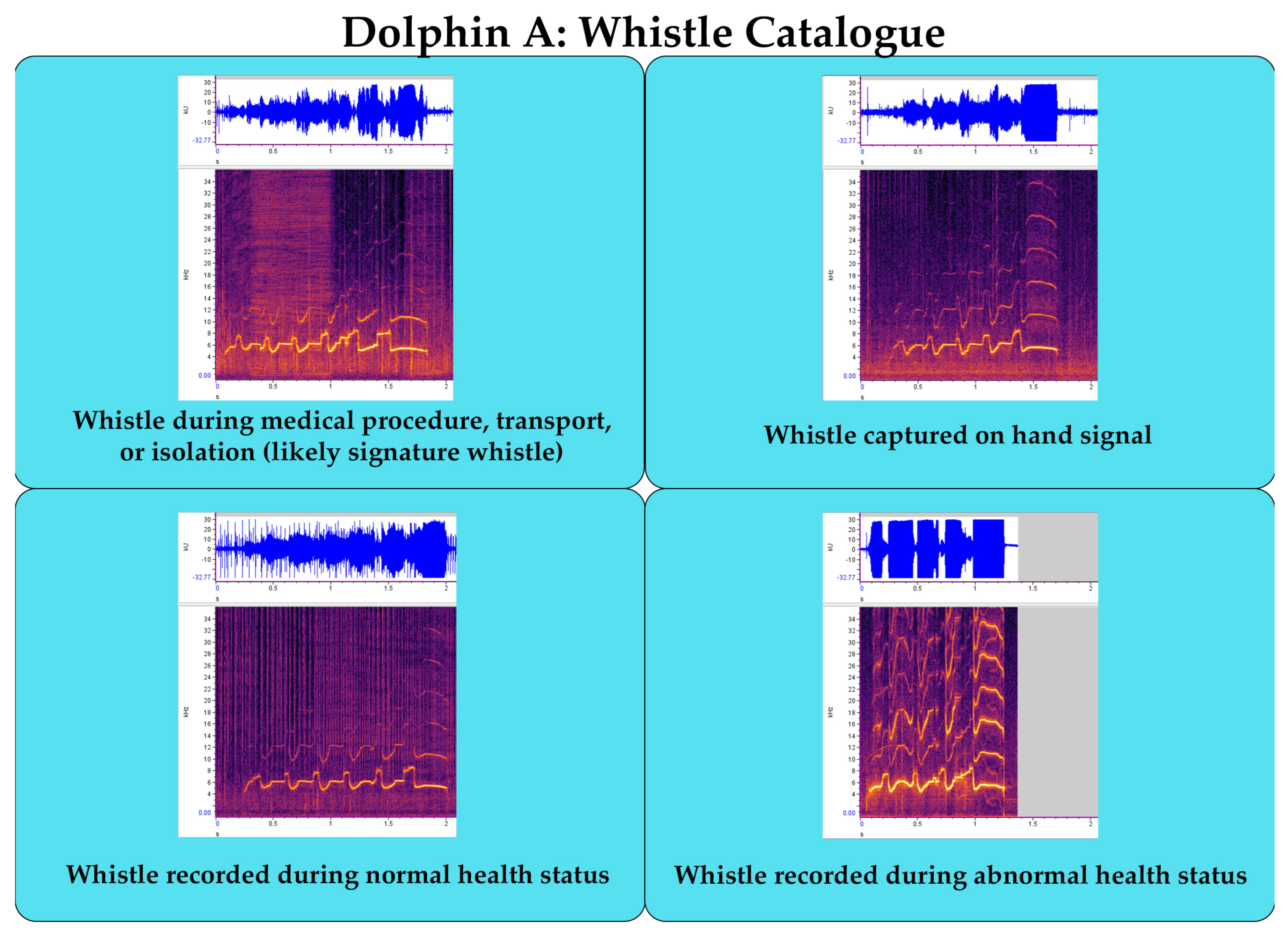 Animals 13 02124 g004 Animals 13 02124 g004