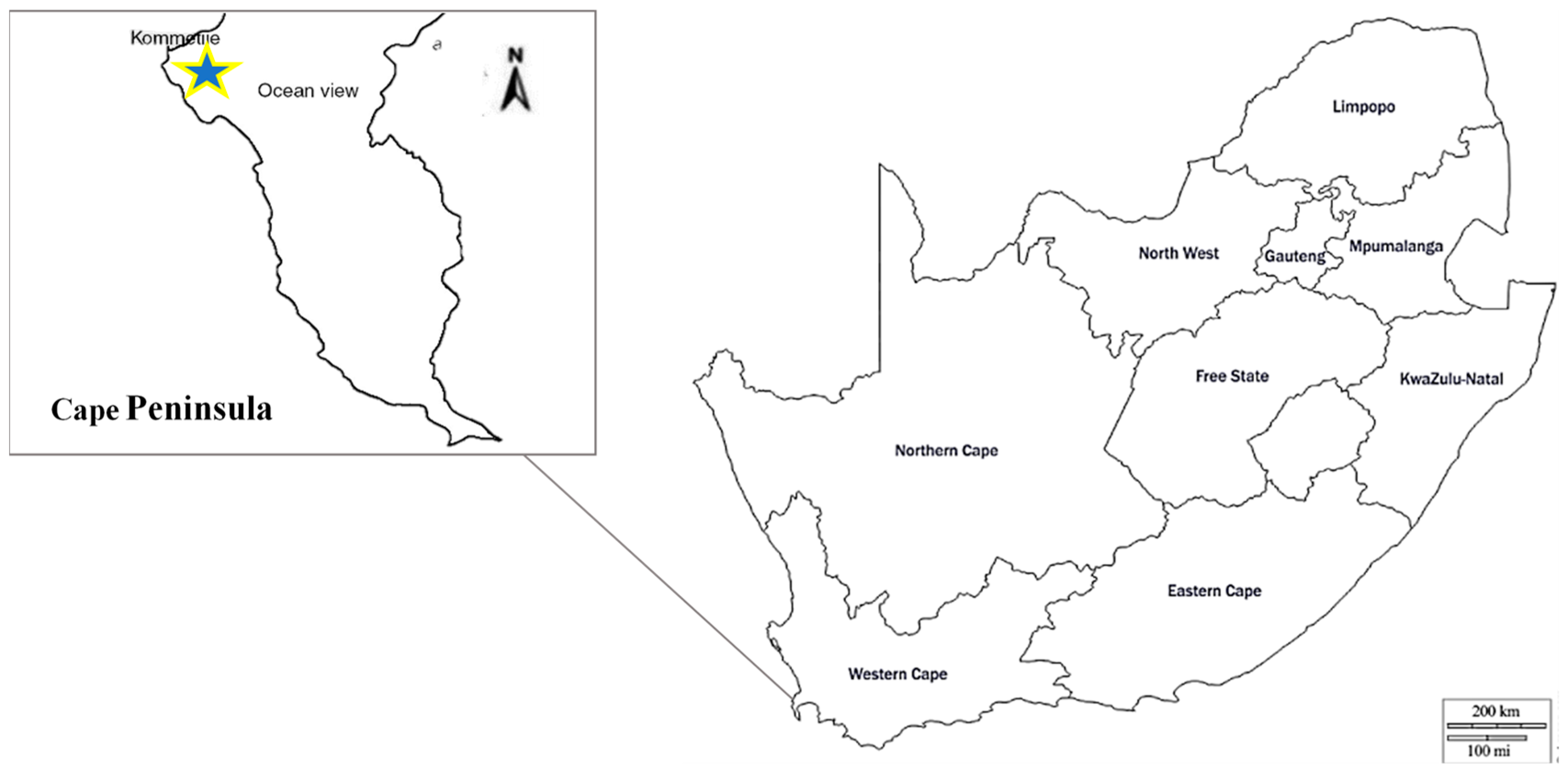 Animals 13 02125 g002