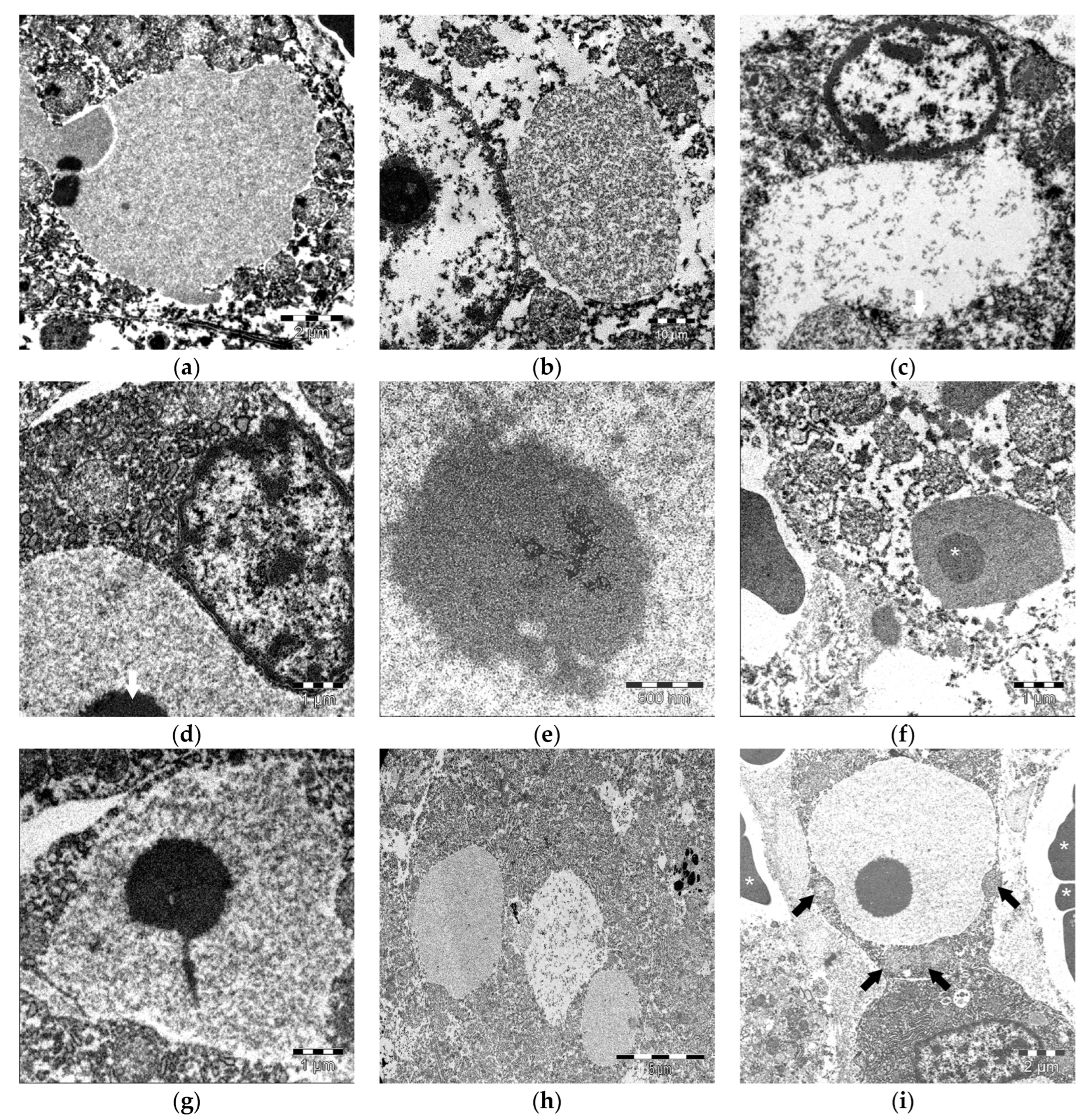 Animals 13 02130 g004