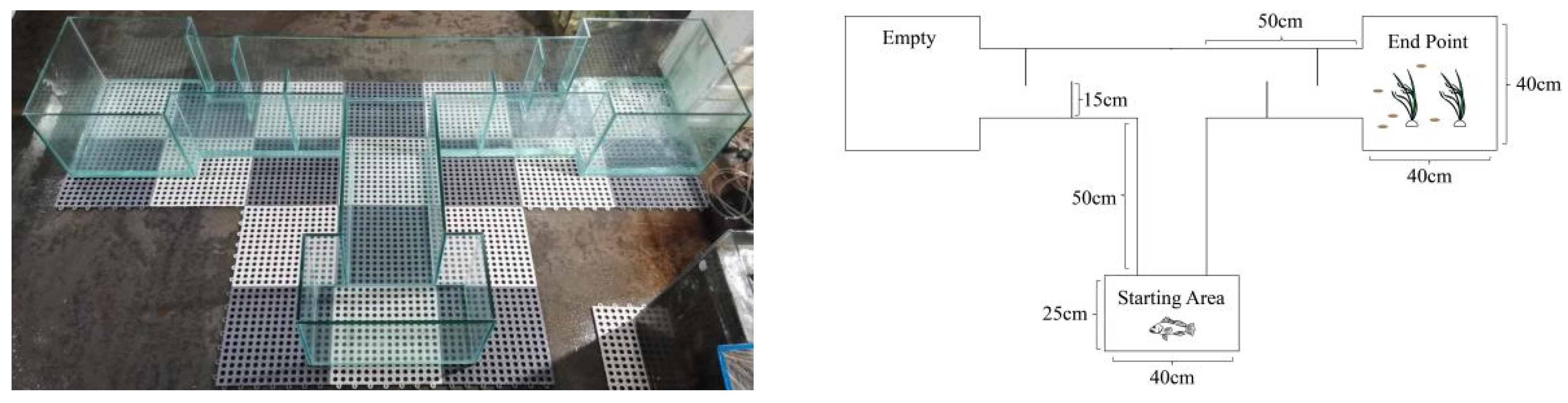 Animals 13 02131 g001 Animals 13 02131 g001