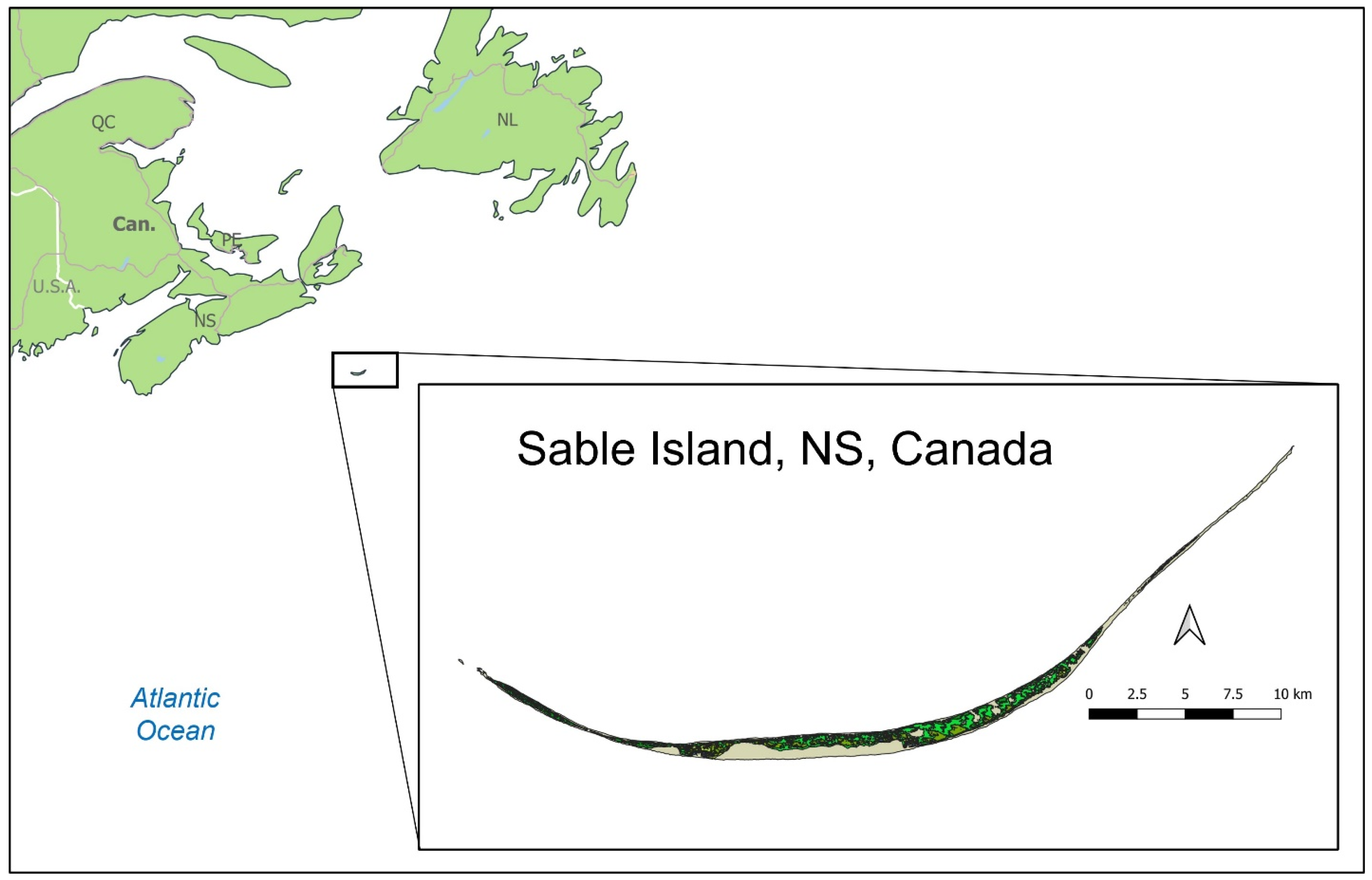 Animals 13 02133 g001