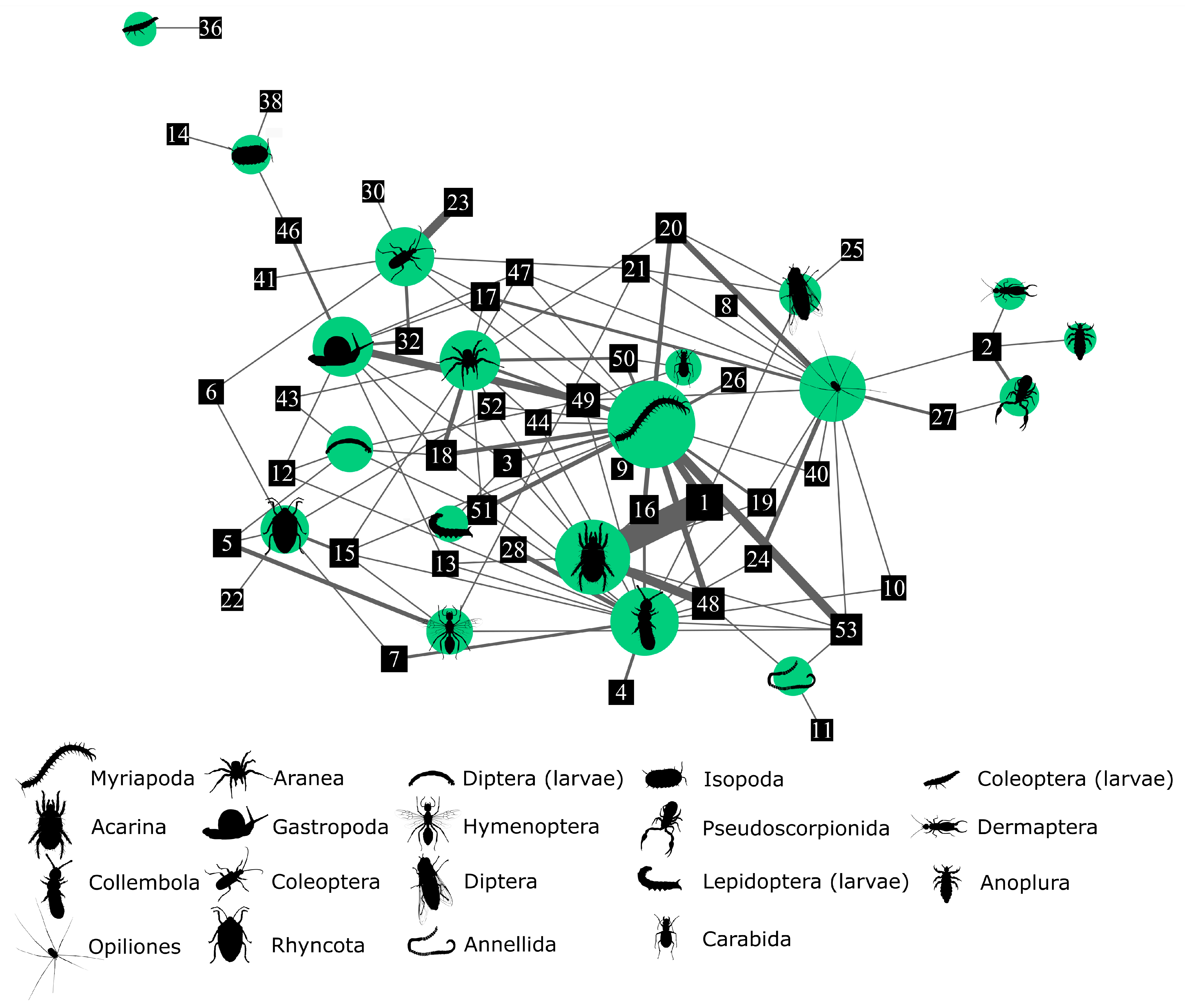 Animals 13 02135 g004 Animals 13 02135 g004