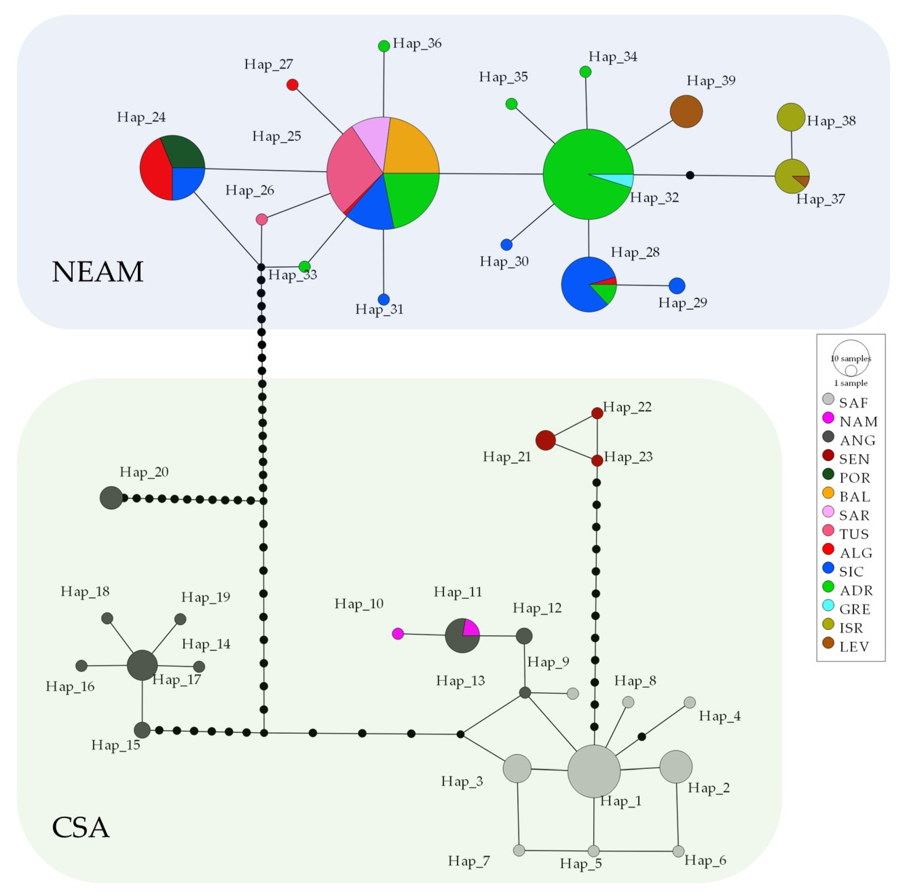 Animals 13 02139 g002