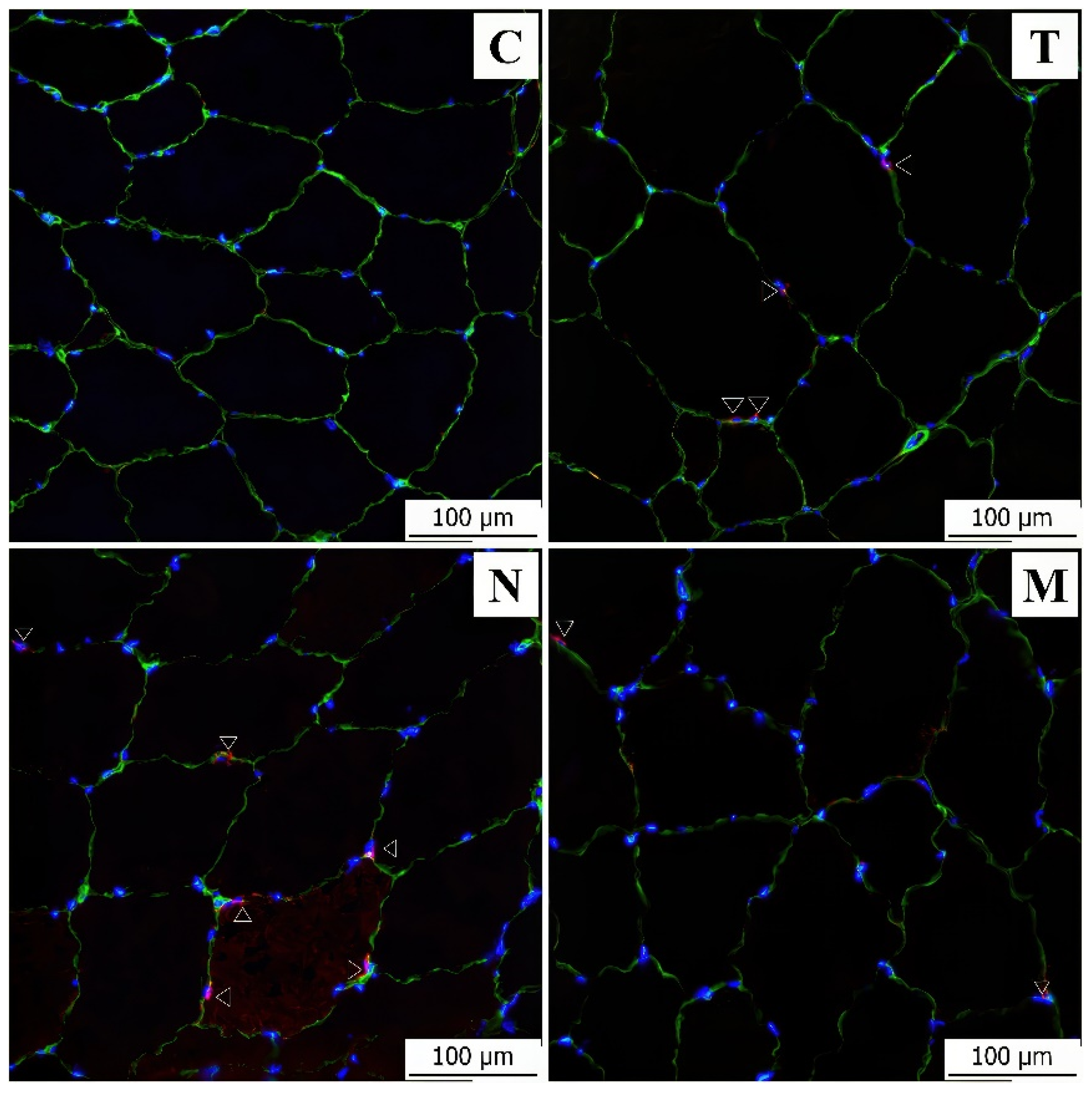 Animals 13 02141 g003