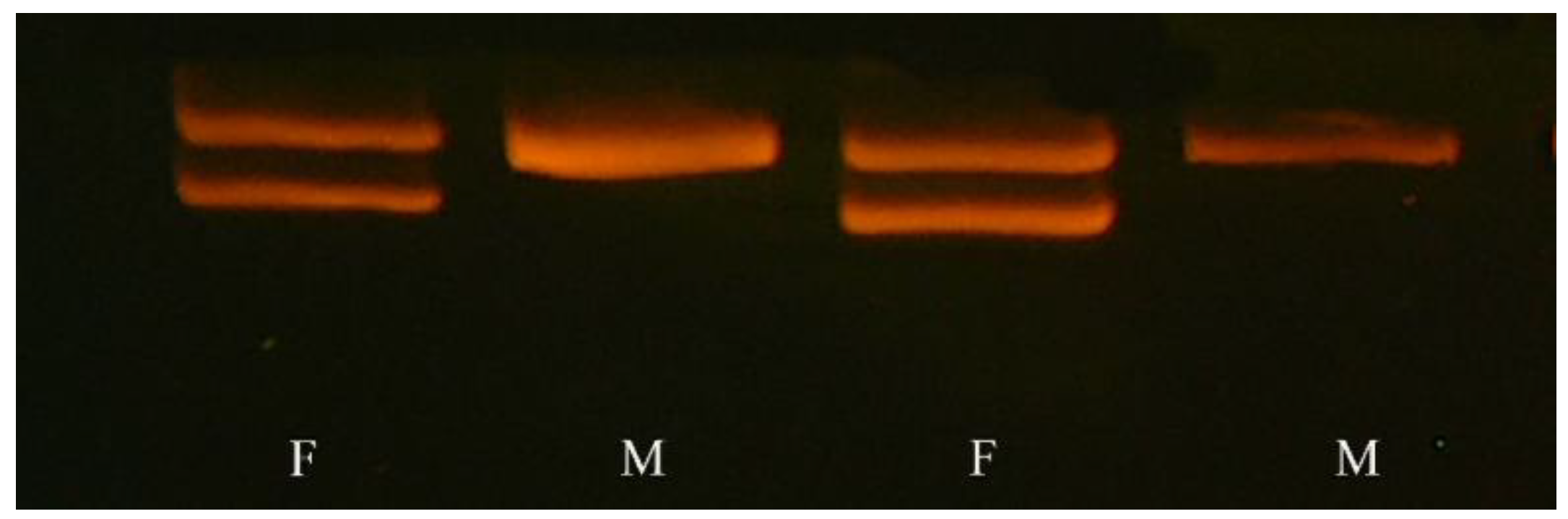 Animals 13 02142 g003