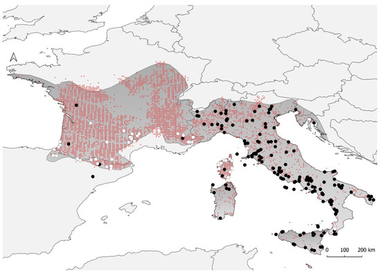 https://www.mdpi.com/animals/animals-13-02143/article_deploy/html/images/animals-13-02143-g001-550.jpg