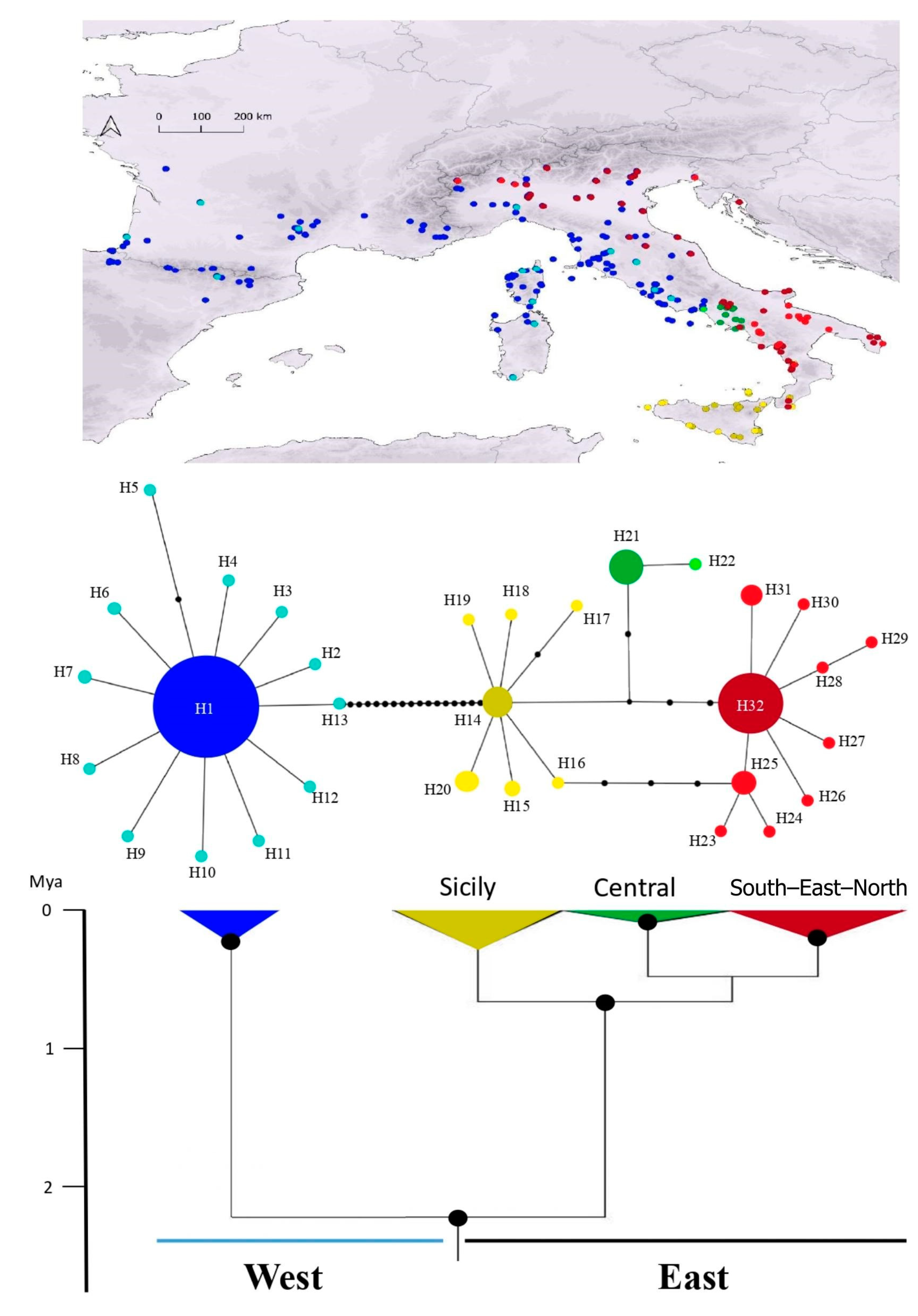 Animals 13 02143 g002
