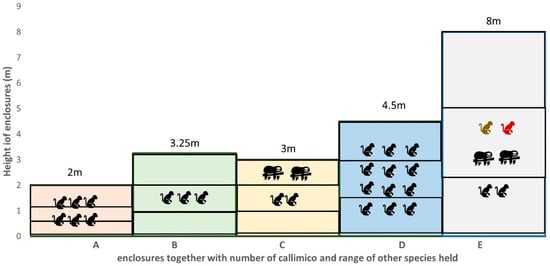 PDF) The Ecology of Trunk-To-Trunk Leaping in Saguinus fuscicollis :  Implications for Understanding Locomotor Diversity in Callitrichines