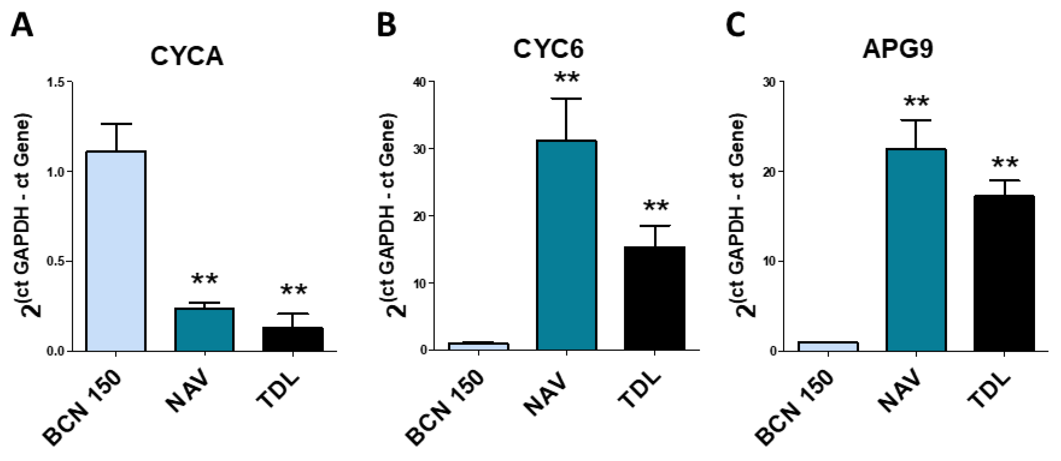 Animals 13 02153 g006