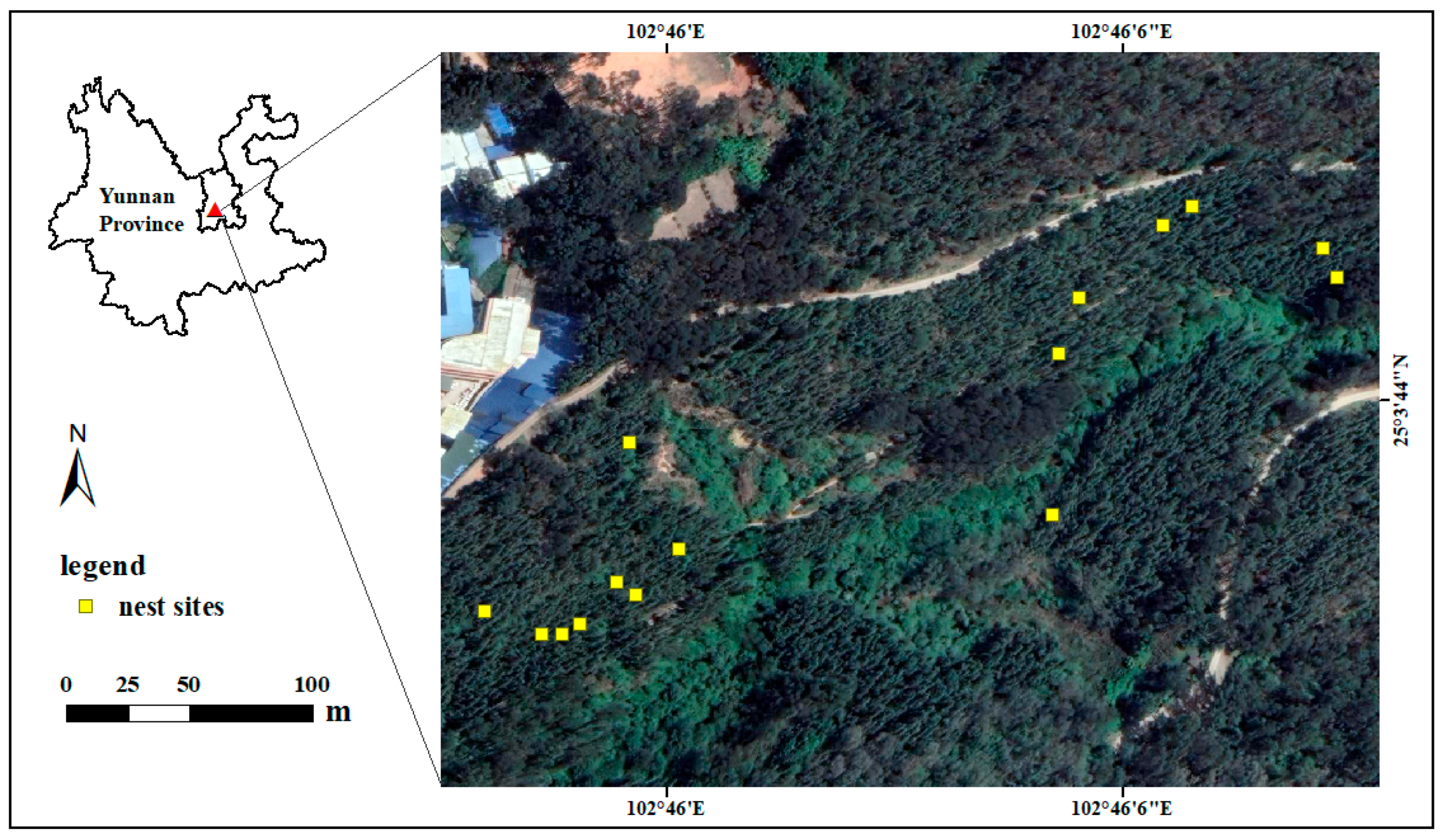 Animals 13 02157 g001 Animals 13 02157 g001