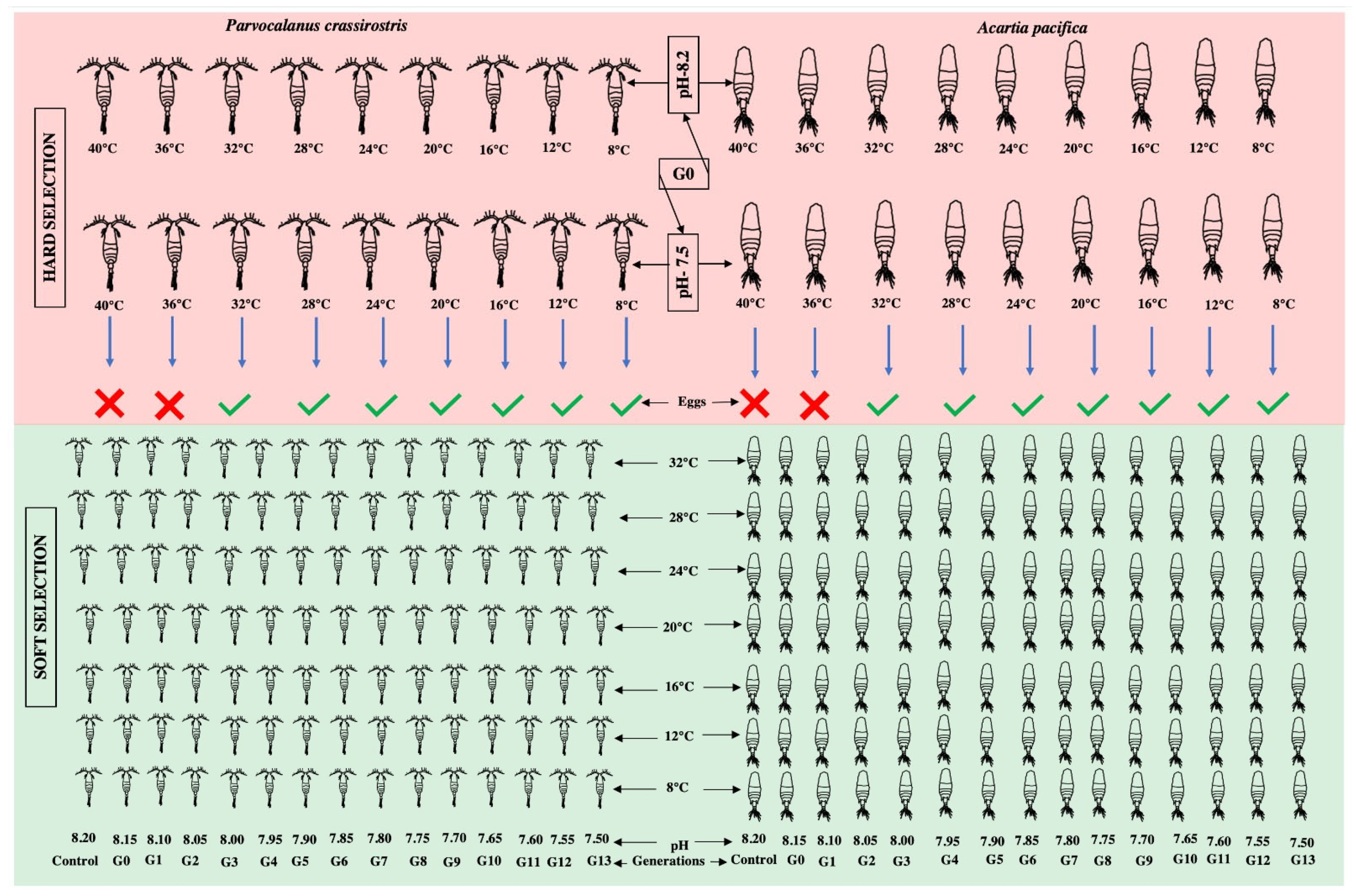 Animals 13 02160 g001