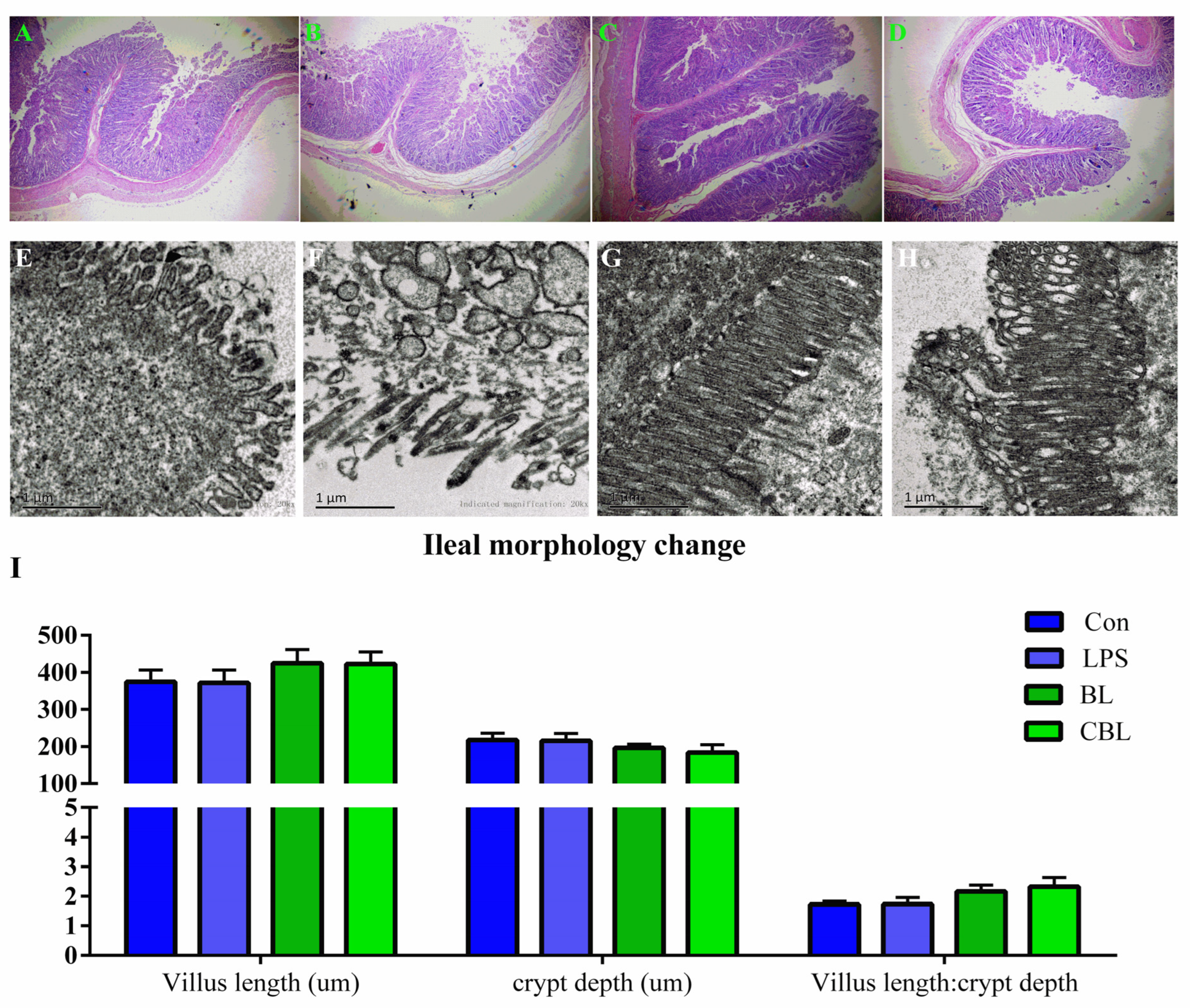 Animals 13 02172 g004 Animals 13 02172 g004