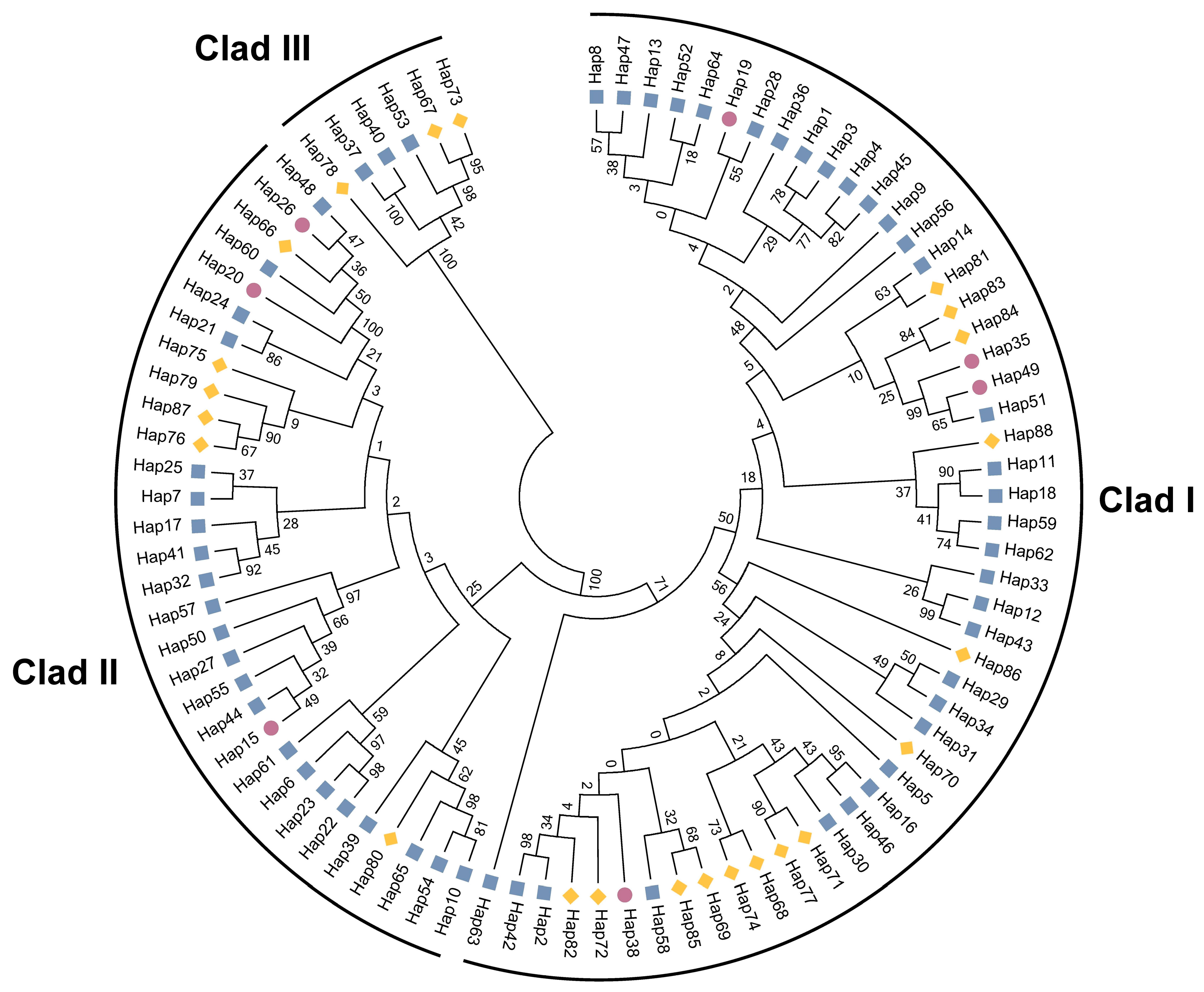 Animals 13 02191 g002
