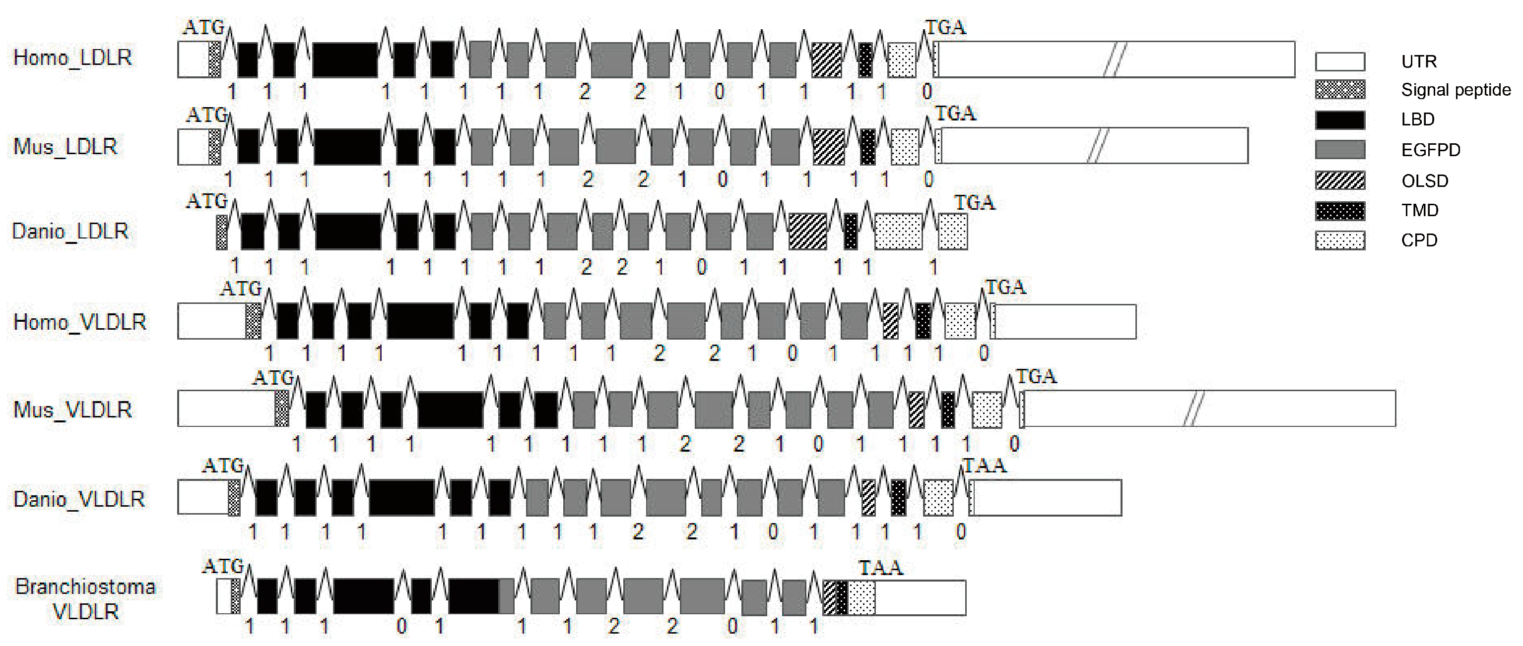 Animals 13 02193 g005 Animals 13 02193 g005