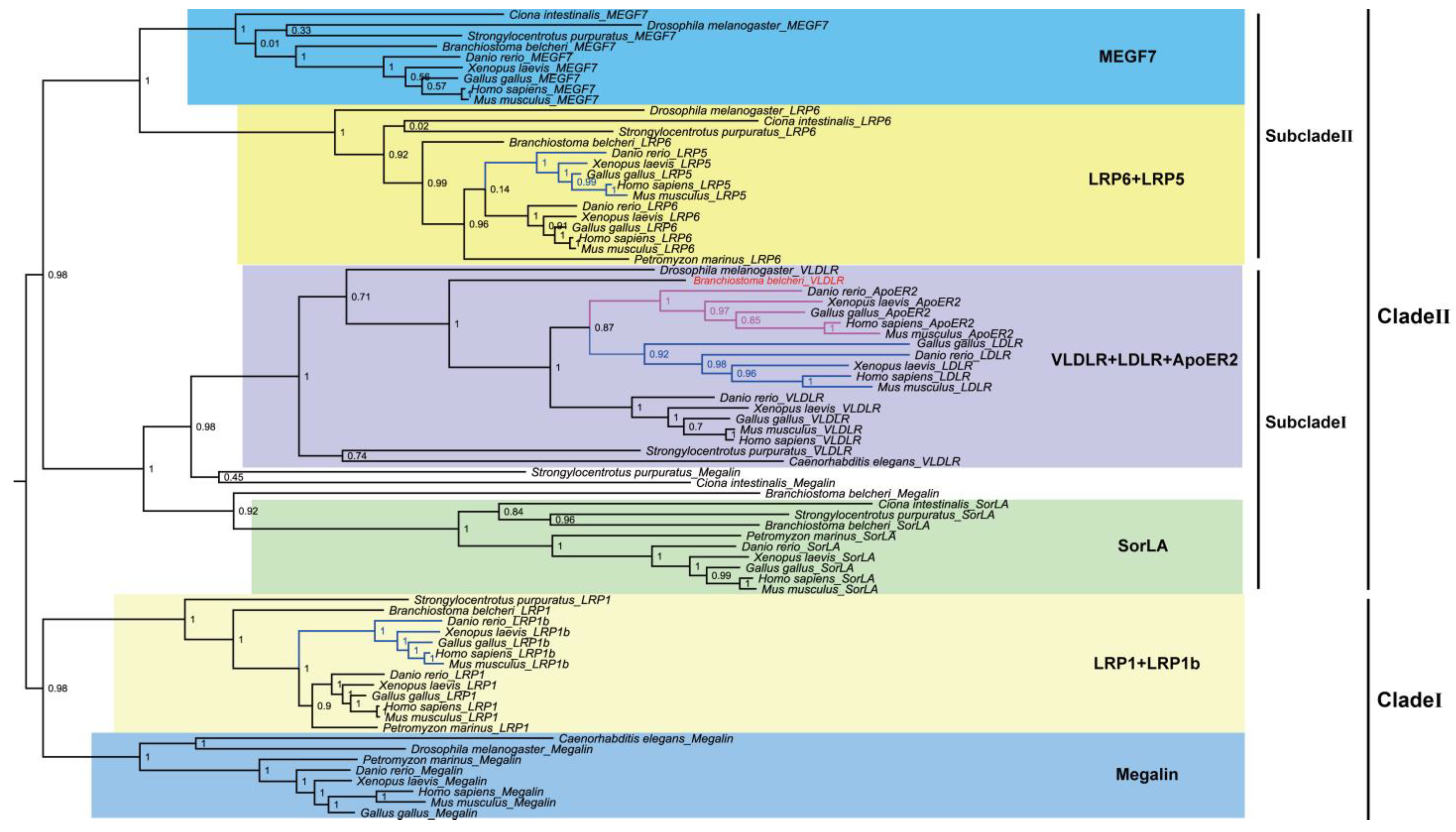 Animals 13 02193 g007 Animals 13 02193 g007