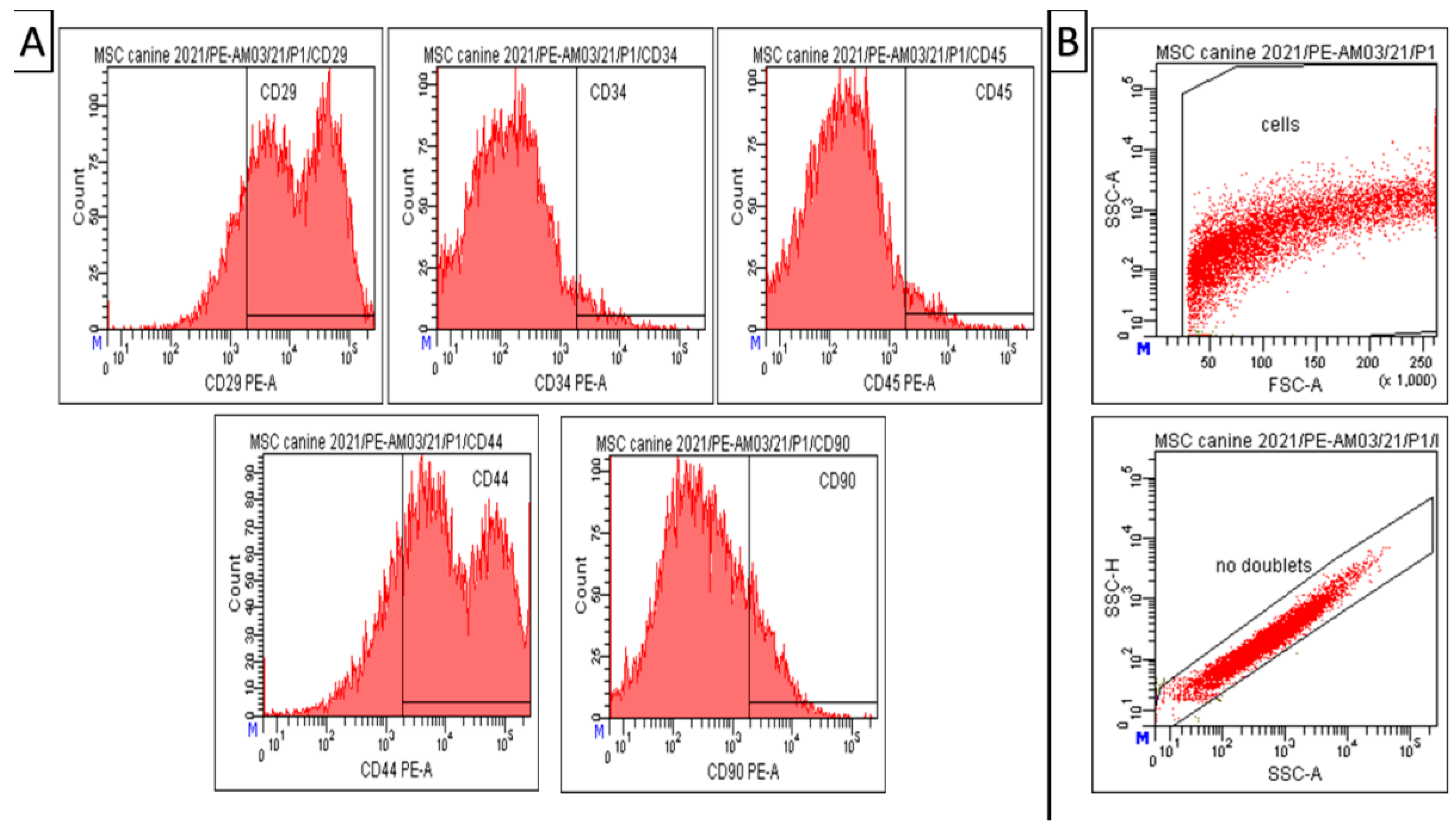 Animals 13 02195 g003