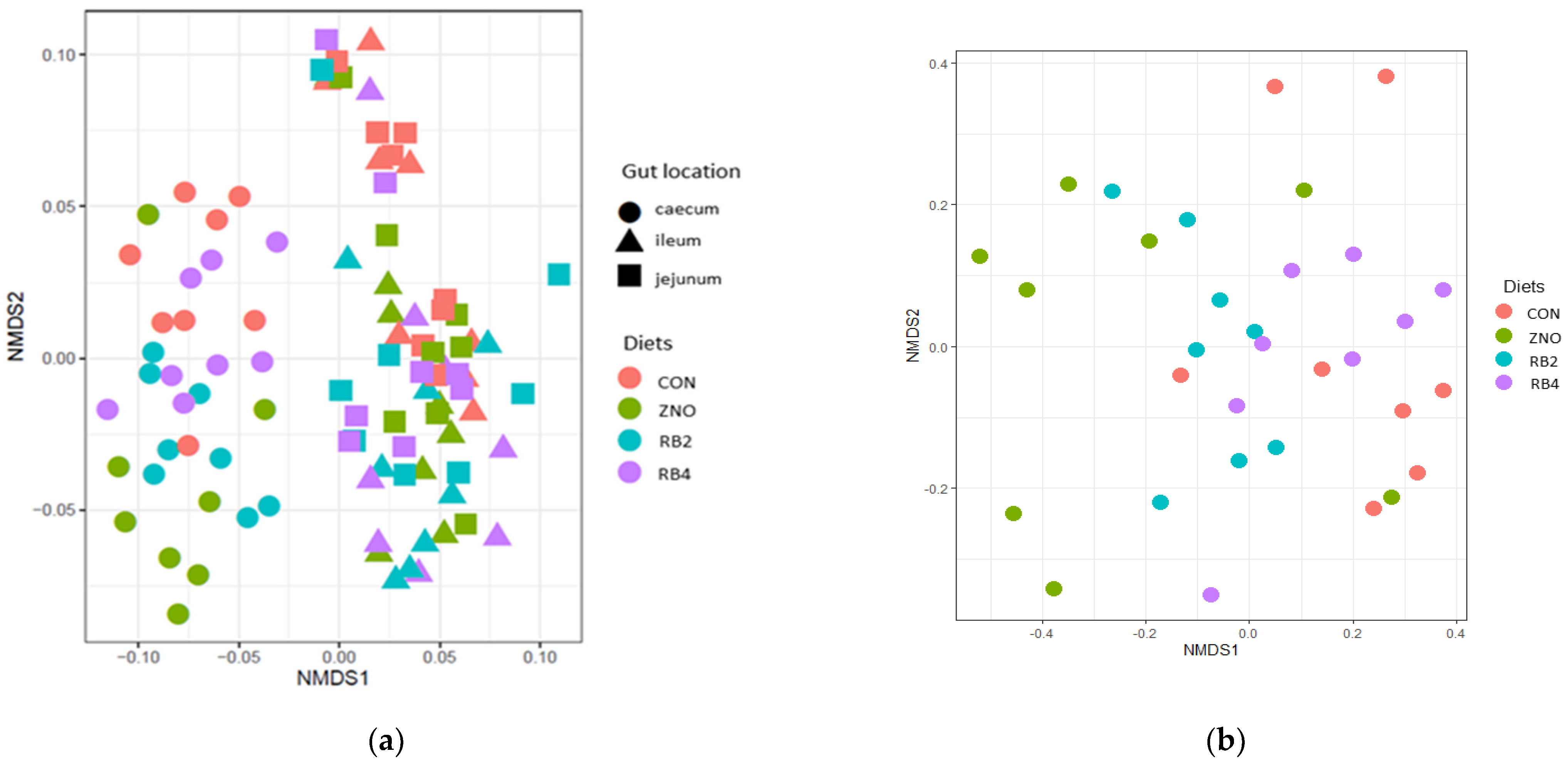 Animals 13 02196 g002