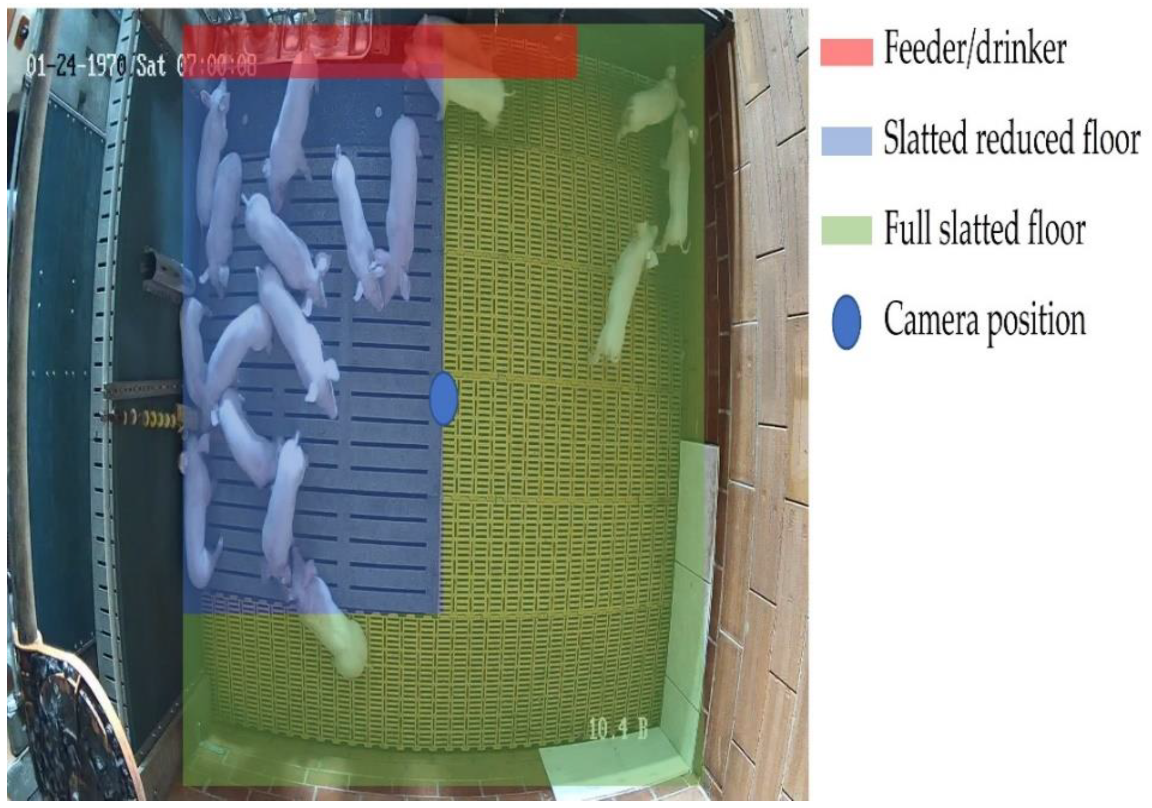 Animals 13 02205 g001