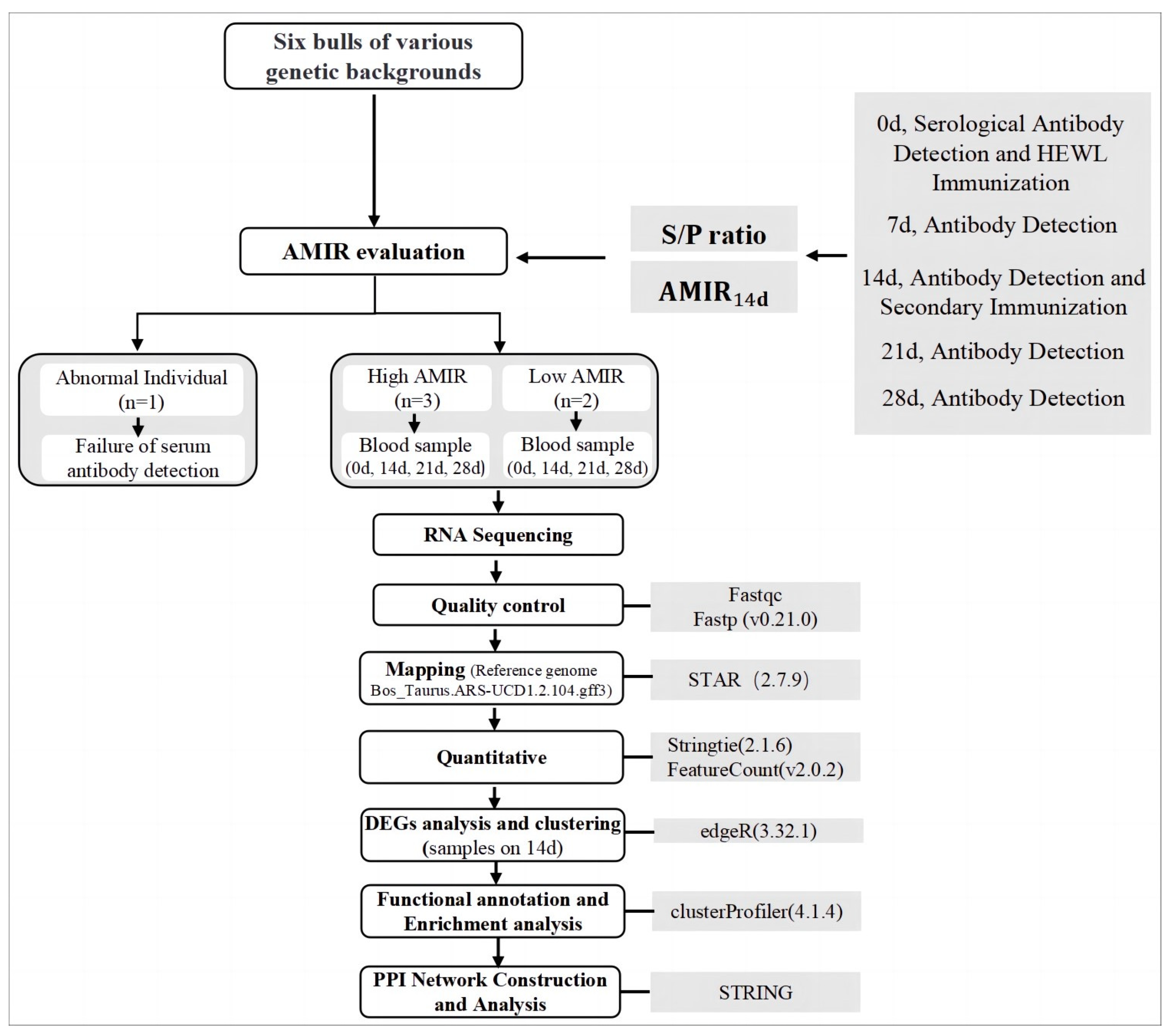Animals 13 02208 g001