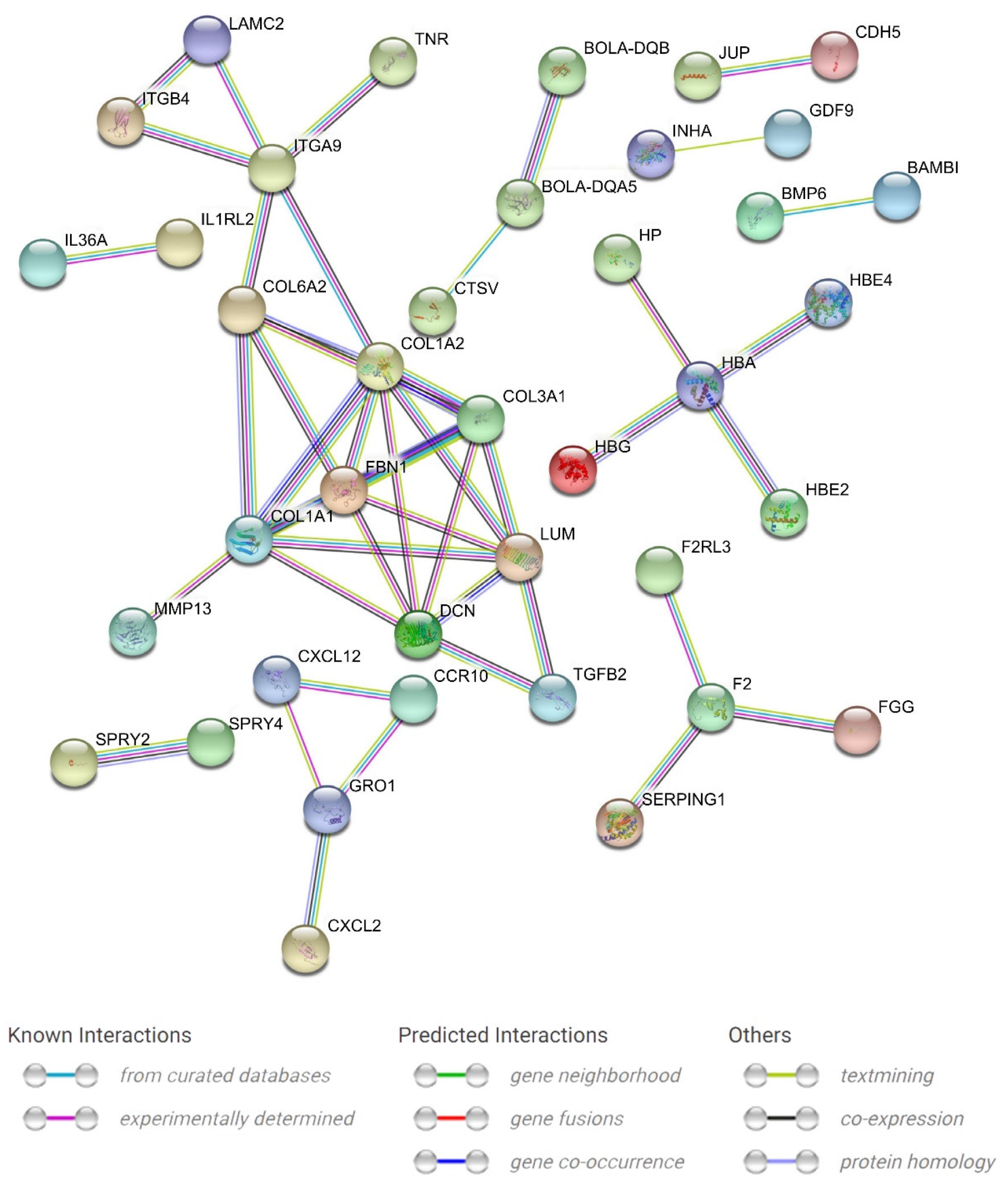 Animals 13 02208 g008